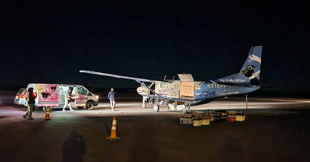 Our super special mid-winter rescue flight was this morning!! Under the glittering stars and with our breath on the air, our dozen helpers loaded 62 !! dogs into the @dogismycopilotinc plane!

Focusing on dogs who can&rsquo;t travel on commercial fli