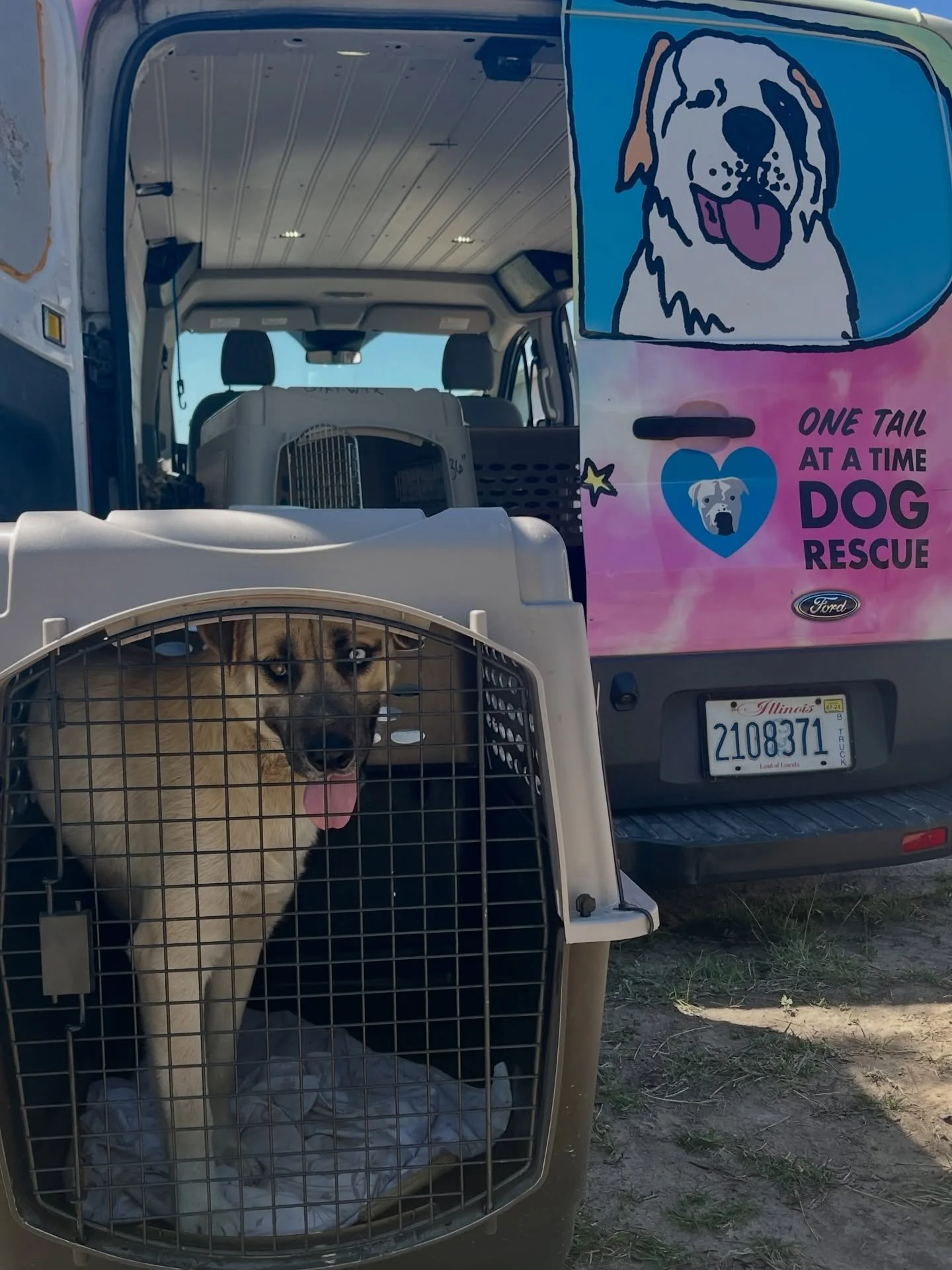 Another day in the rescue life!! These 7 once-stray/homeless/unwanted pets took to the skies today thanks to @otatpdx and @alaskaair and one very special human who flew down to Texas to personally escort them safely, speedily and gently back to Portl