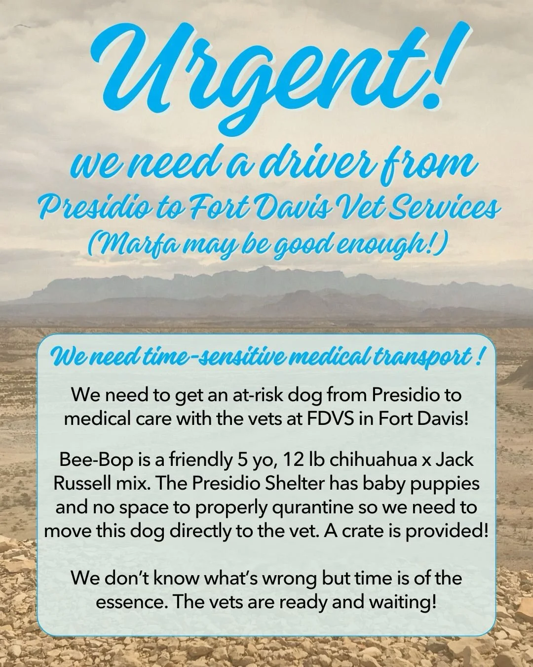 🚨We need a ride, and fast! We were hoping Bee-Bop could wait for a regularly scheduled ride but he cannot! We would love to get him to the vet today by 4:30 or first thing tomorrow! Even getting him to Marfa would be a huge gift, and we can look for