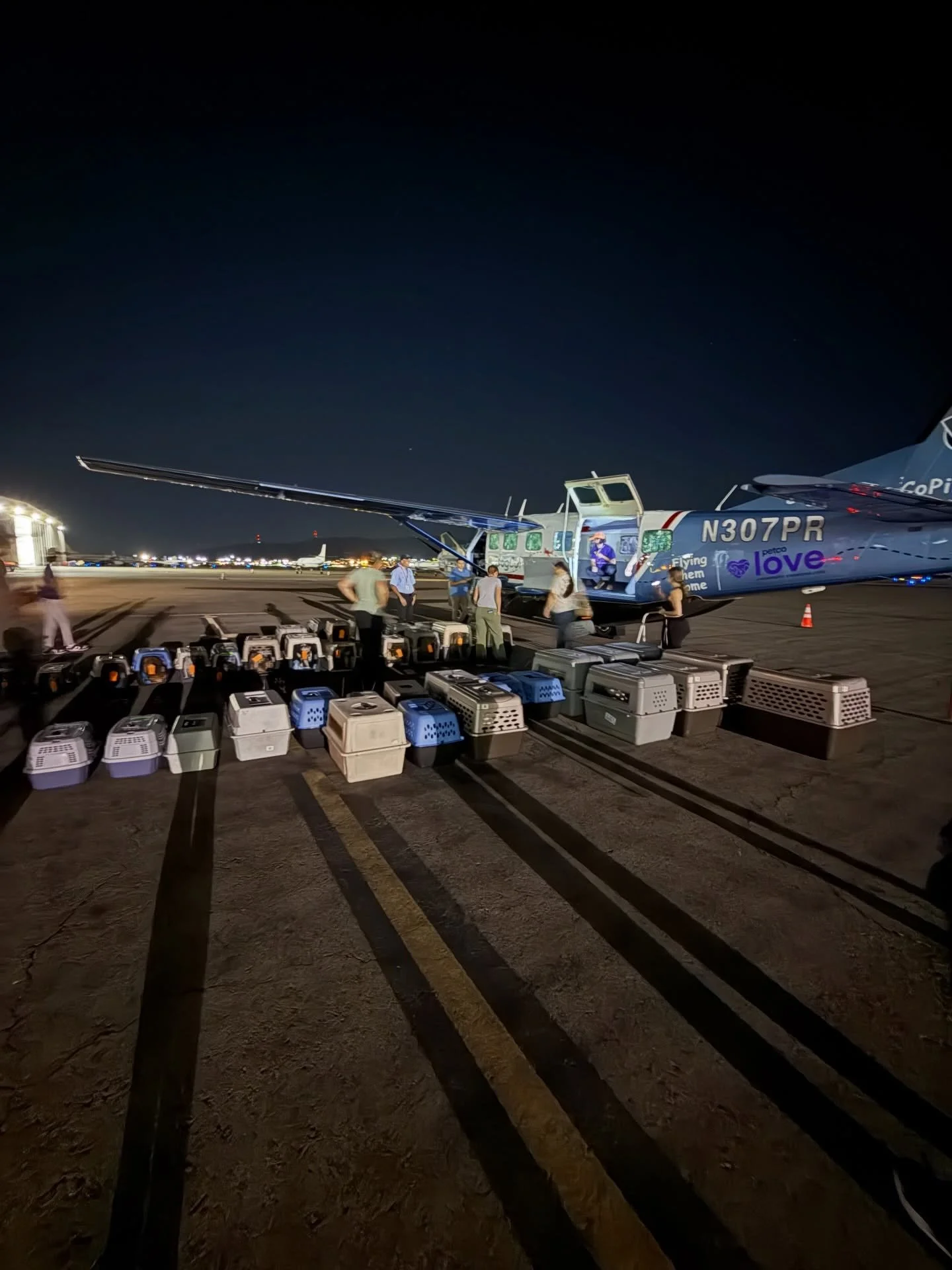 Another successful transport send off for 57 dogs in El Paso&hellip; more updates after we all take a nap.😴 #rescuedogs
