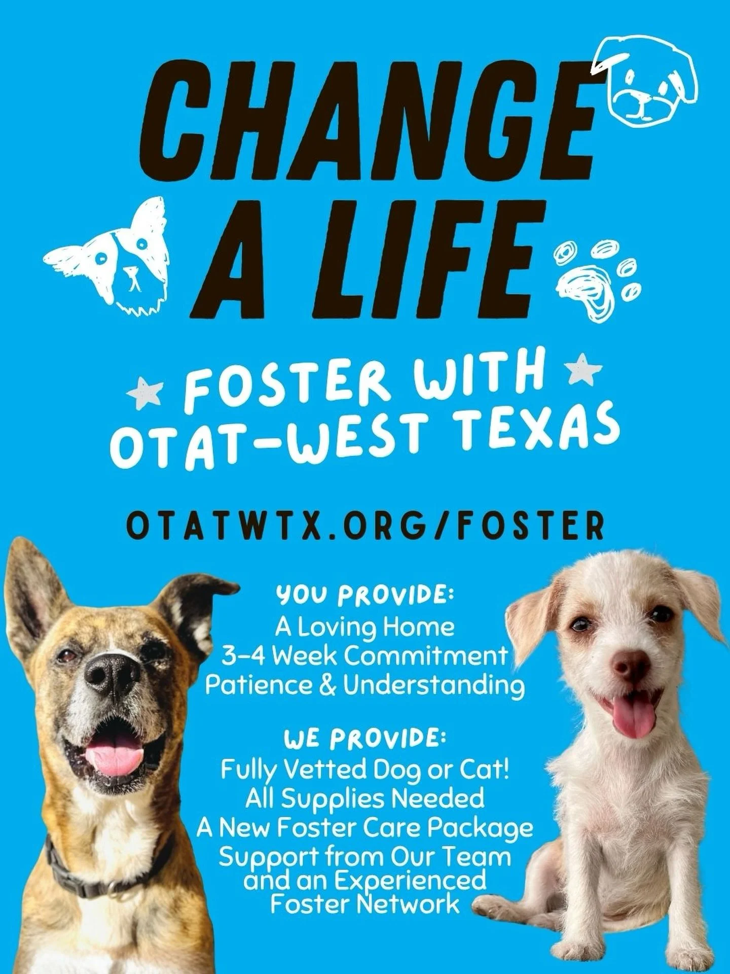 Got a little extra free time this summer? Or been thinking about fostering for a while and feel like it&rsquo;s now time to join the mission? We have lots of great dogs (and cats!) looking for some short foster fun as we continue to support our shelt