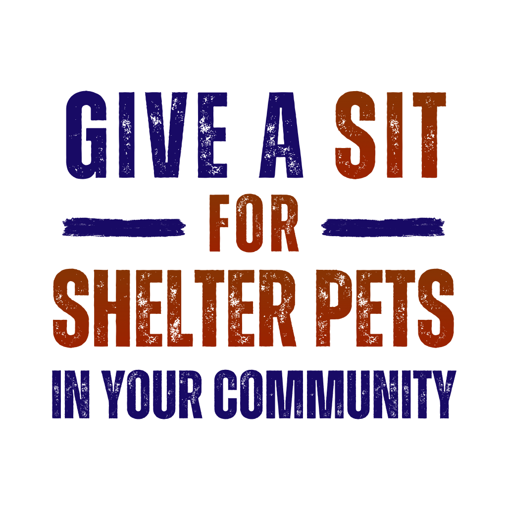 Give a Sit for Shelter Pets in Your Community