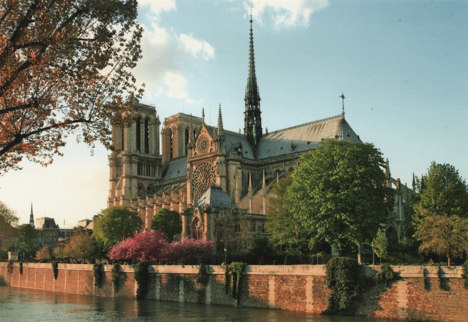 Notre Dame Cathedral.jpg