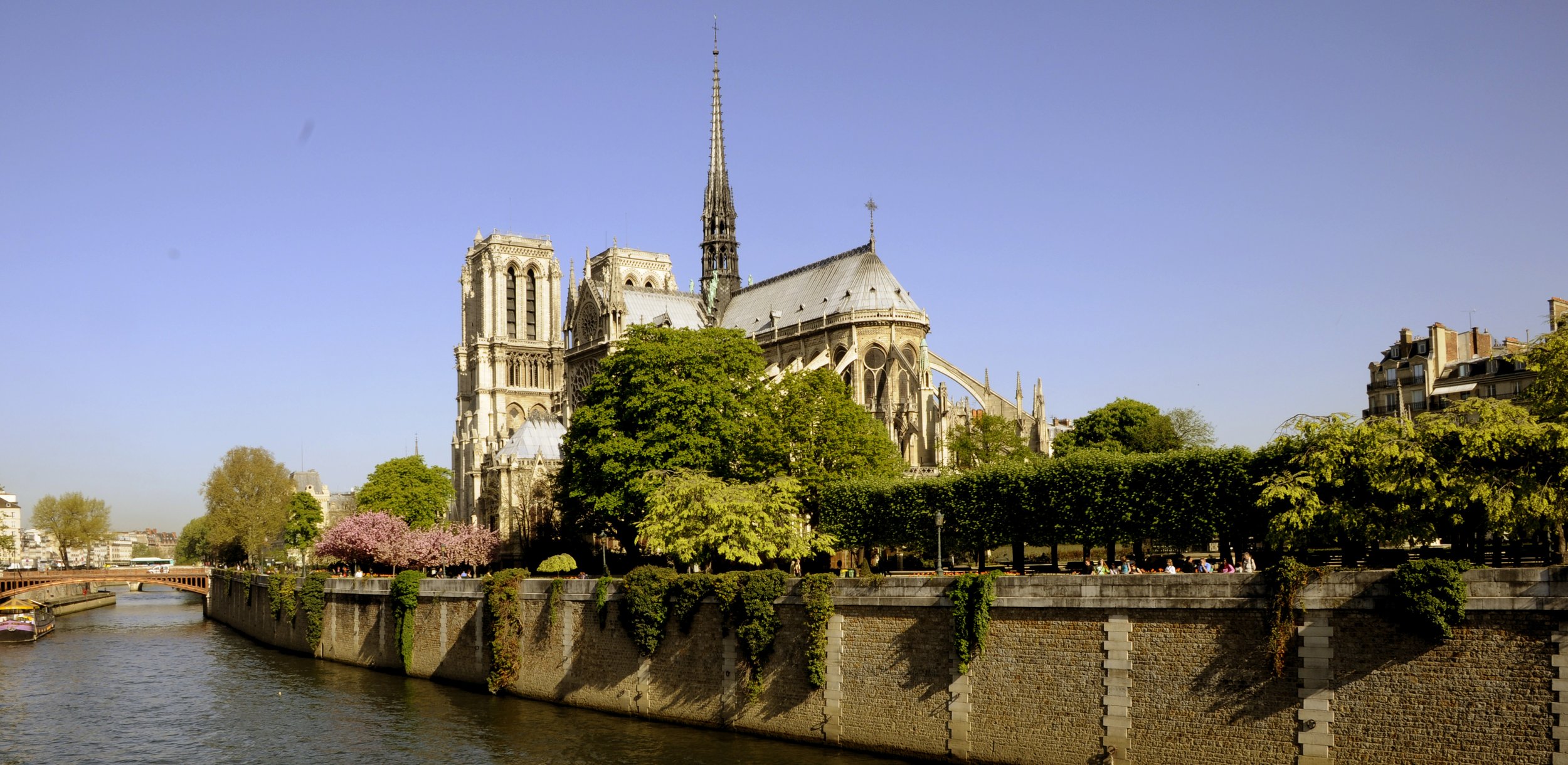 CROPPED NOTRE DAME.jpg