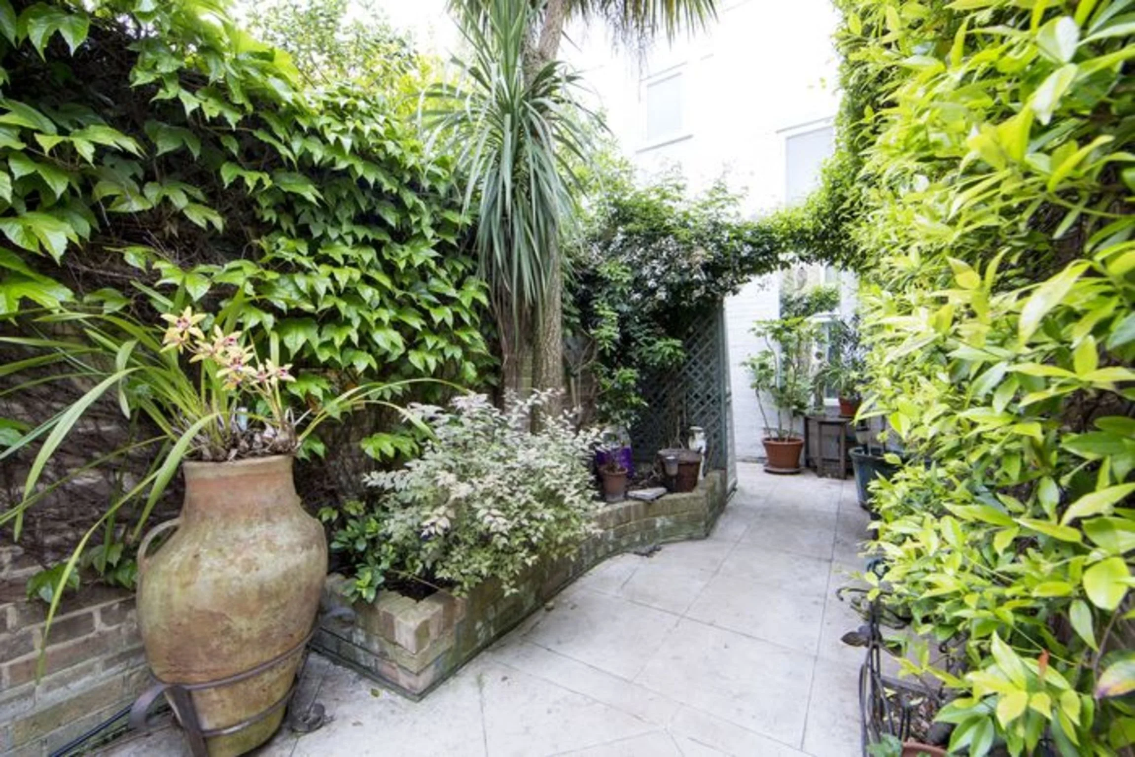 Garden_(2).jpg