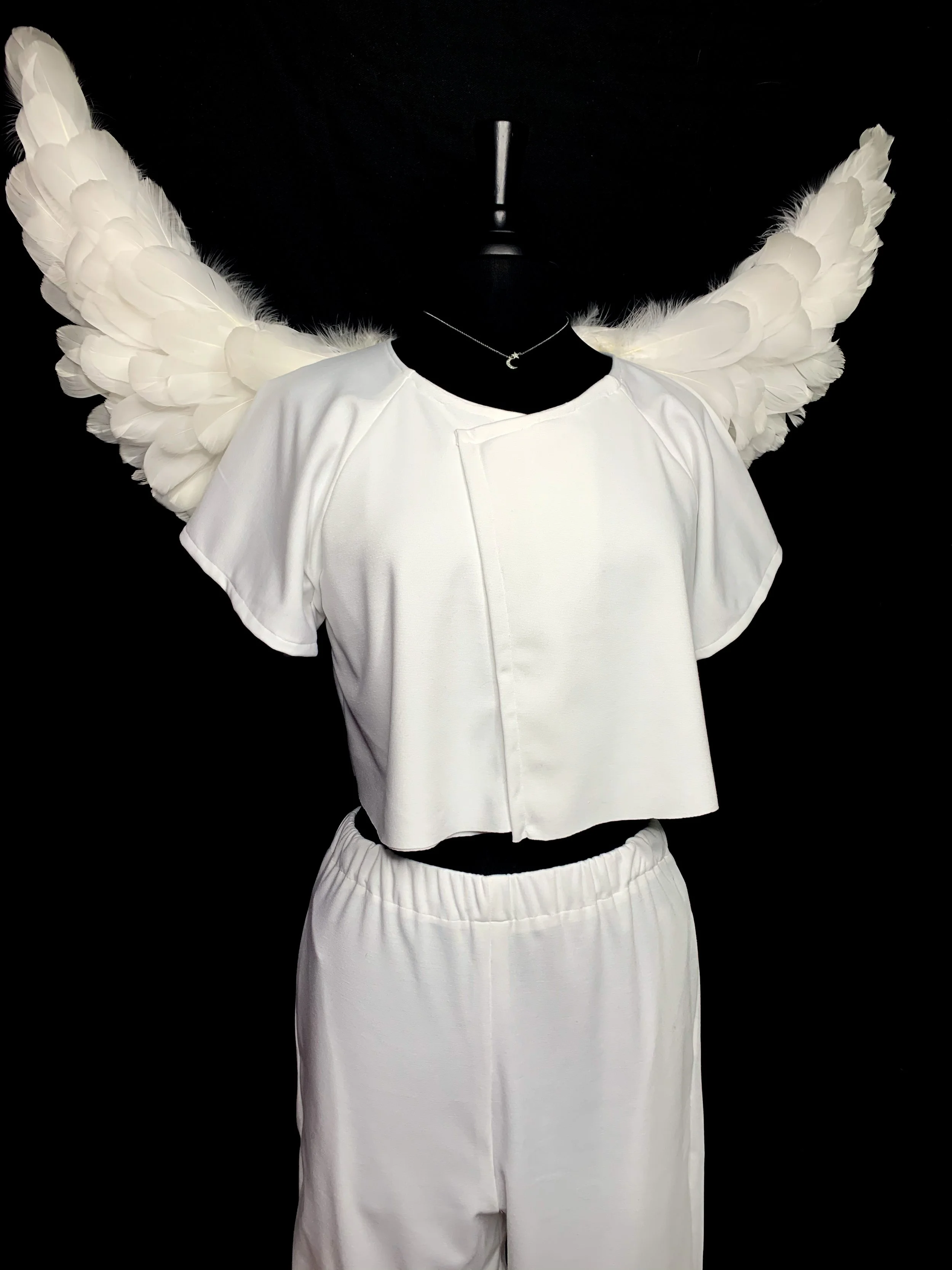 Angel Costume Fall '21
Heavy Weight Poly Blend Front Closure T-Shirt and Sweatpants Set
Handmade Angel Wings with Synthetic Feathers