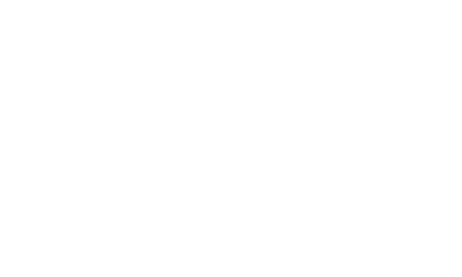 Newport MMA logo
