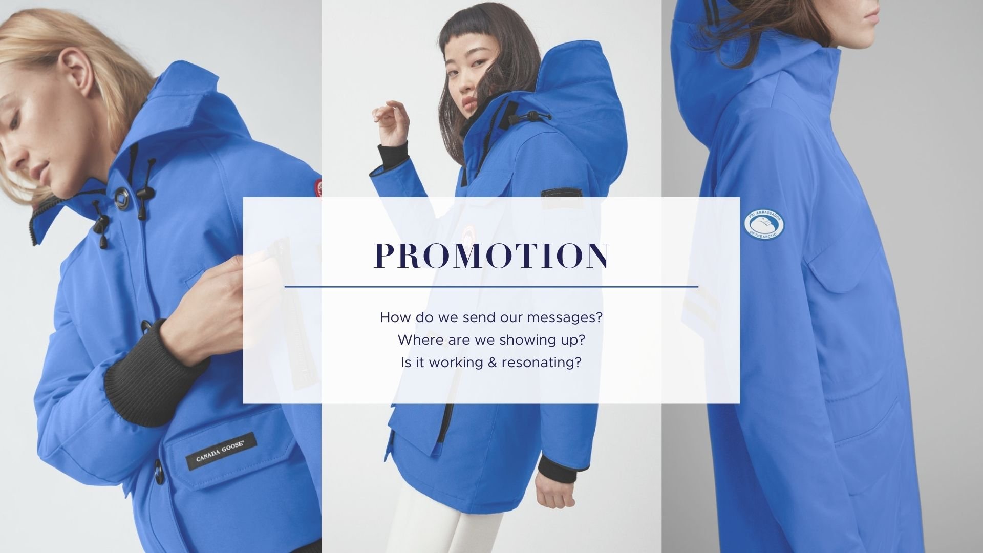promotion.jpg