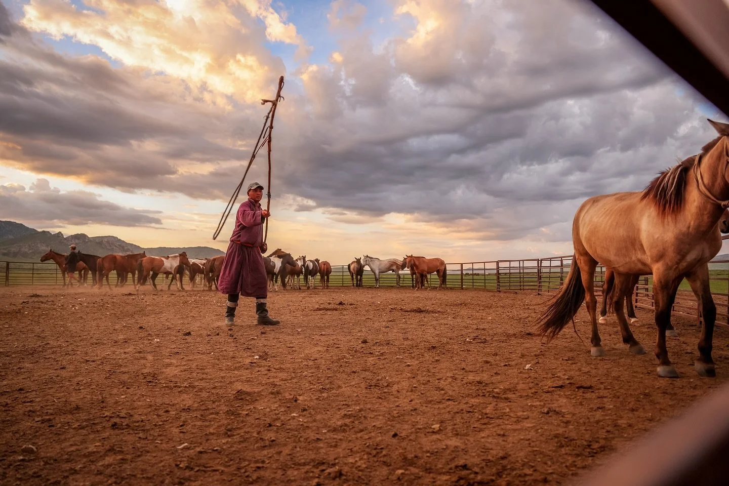 Heading back to the land of the wilds, and documenting the greatest people taking on the greatest race on earth the mighty @mongolderby &hellip;.. seeking a farm sitter from July 28th - September 5th this is a paid role and you&rsquo;ll be living off