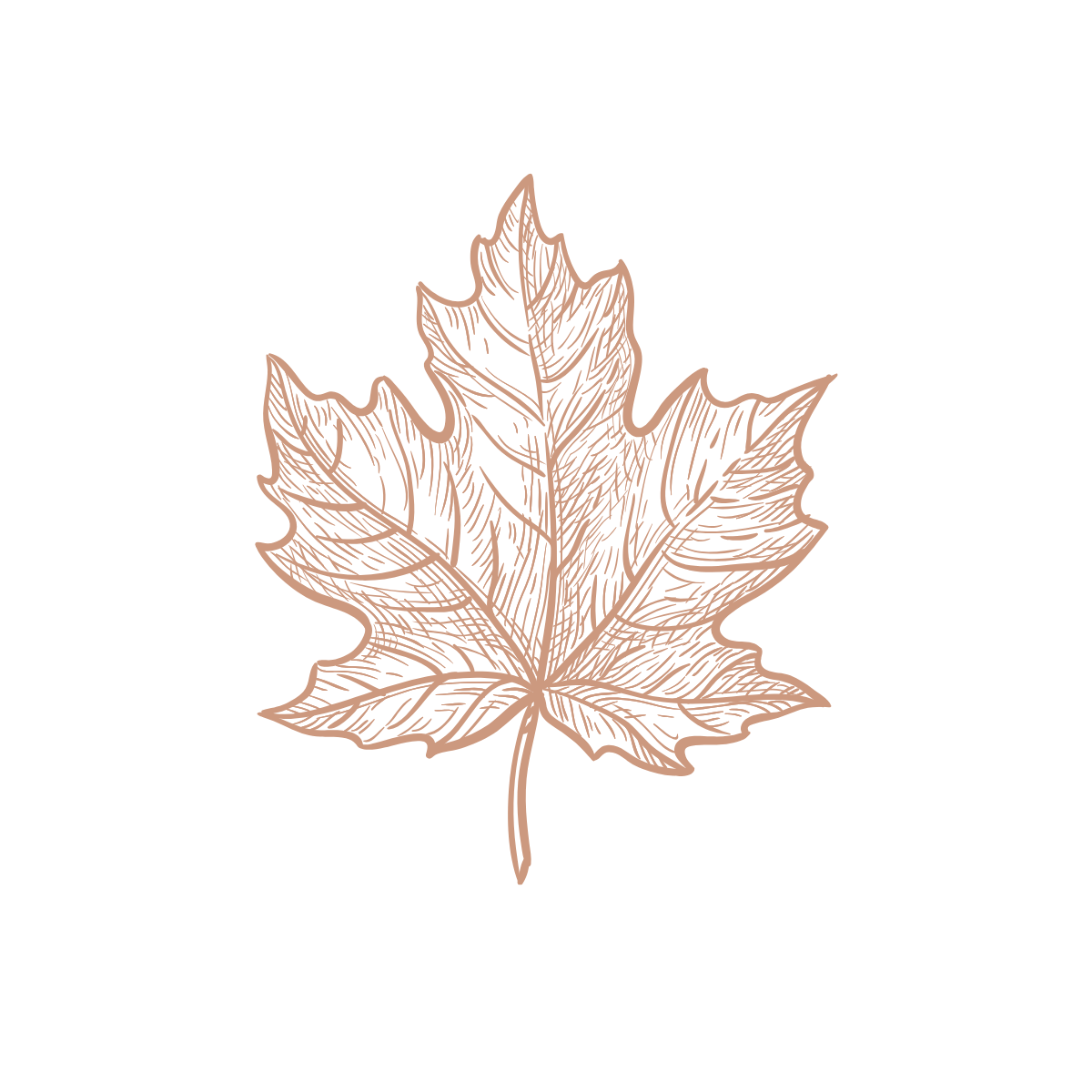 Montreal Maple