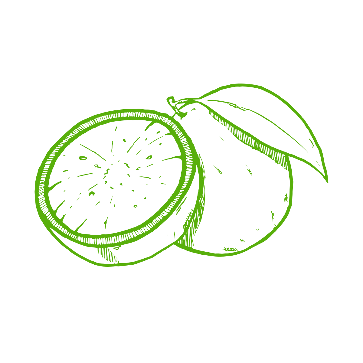 Jalisco Lime