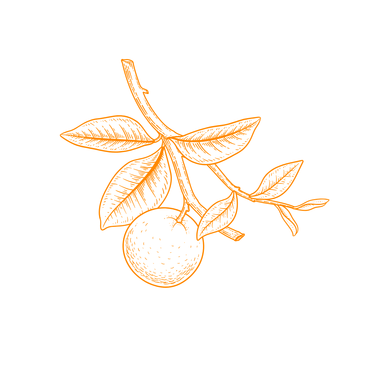 Yucca Valley Orange
