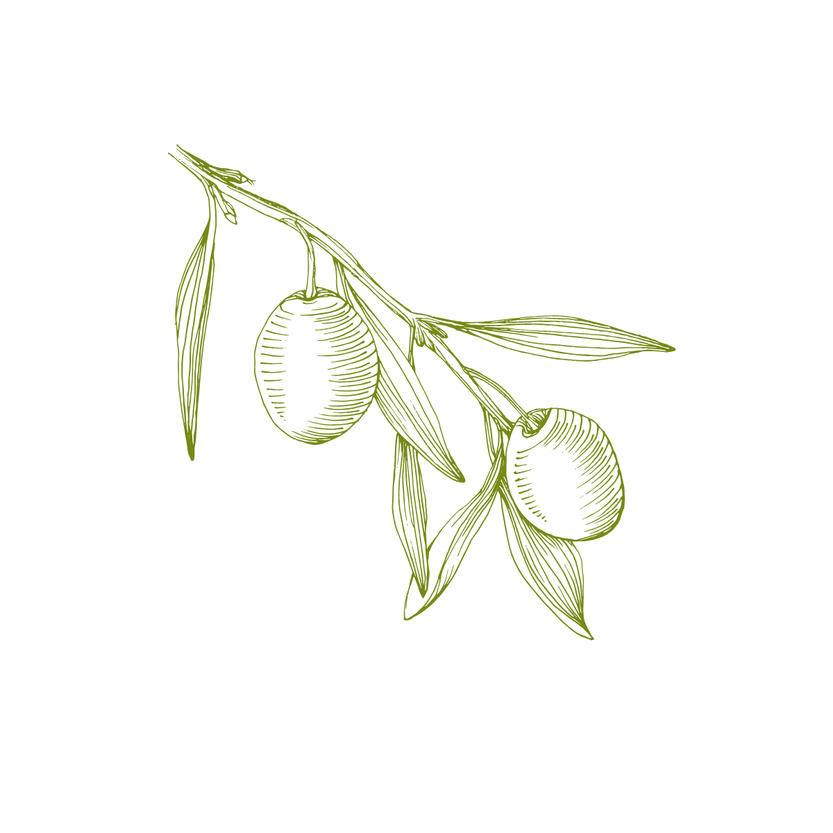 San Giusto Olive Oil