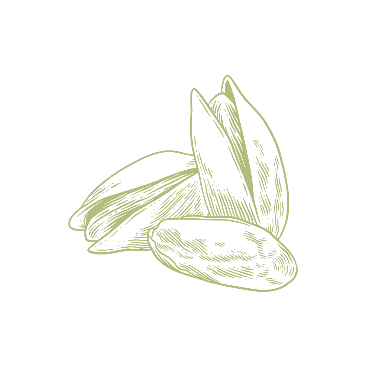 Aegina Pistachio