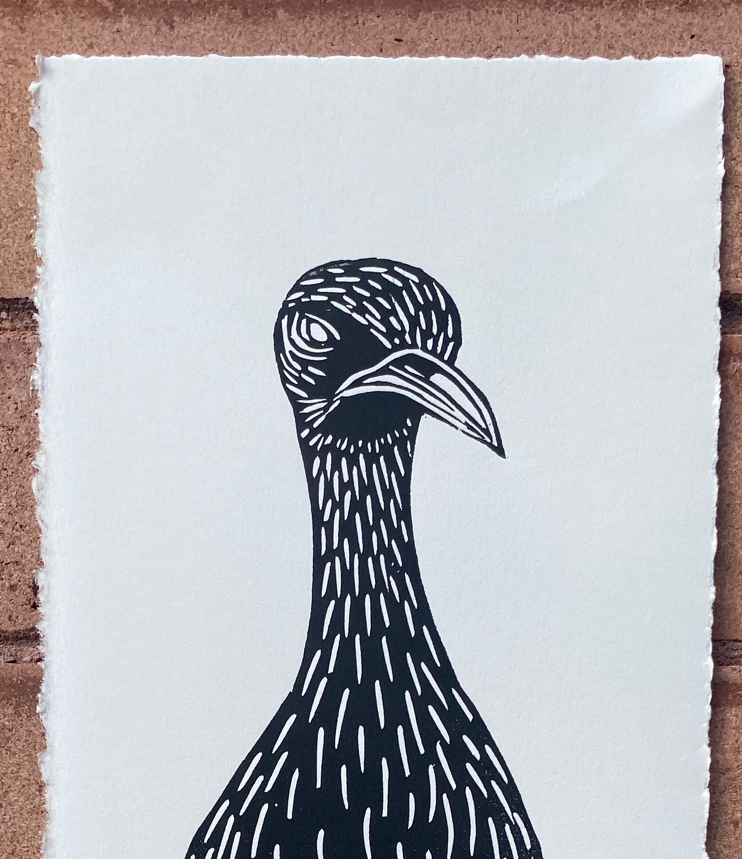 Cape Thick-Knee Head.jpeg