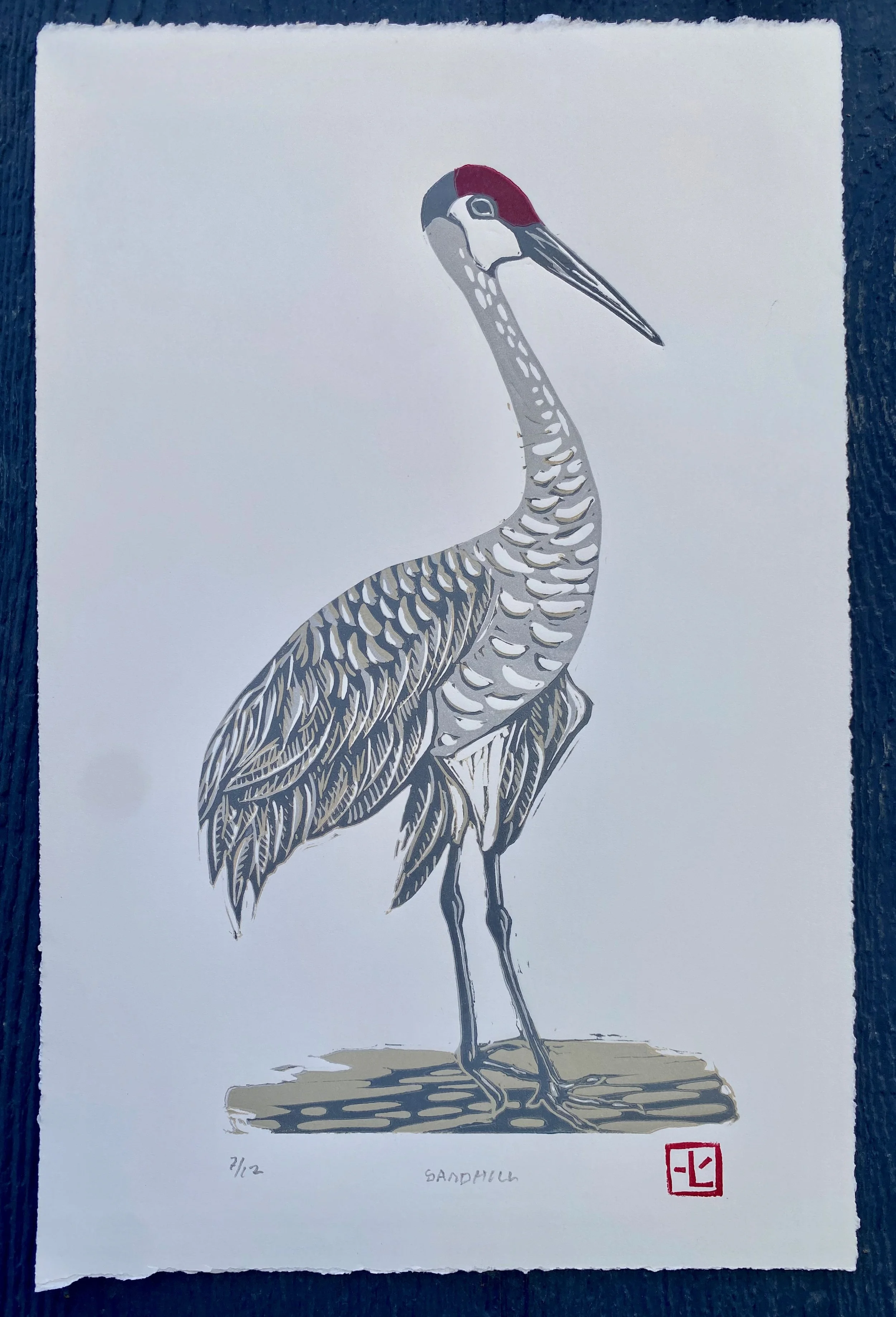 Sandhill Crane.jpeg