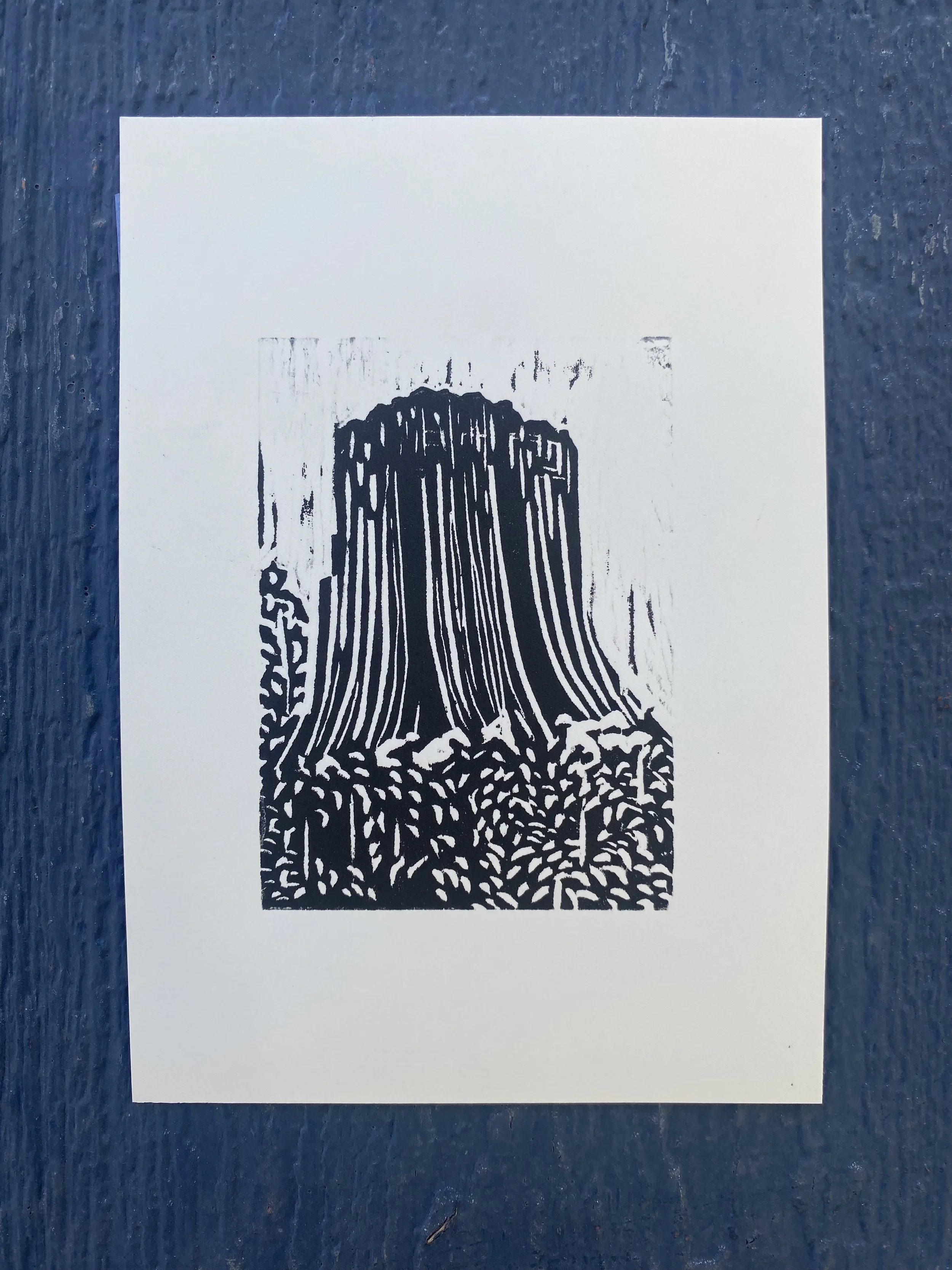 Devil's Tower.jpg