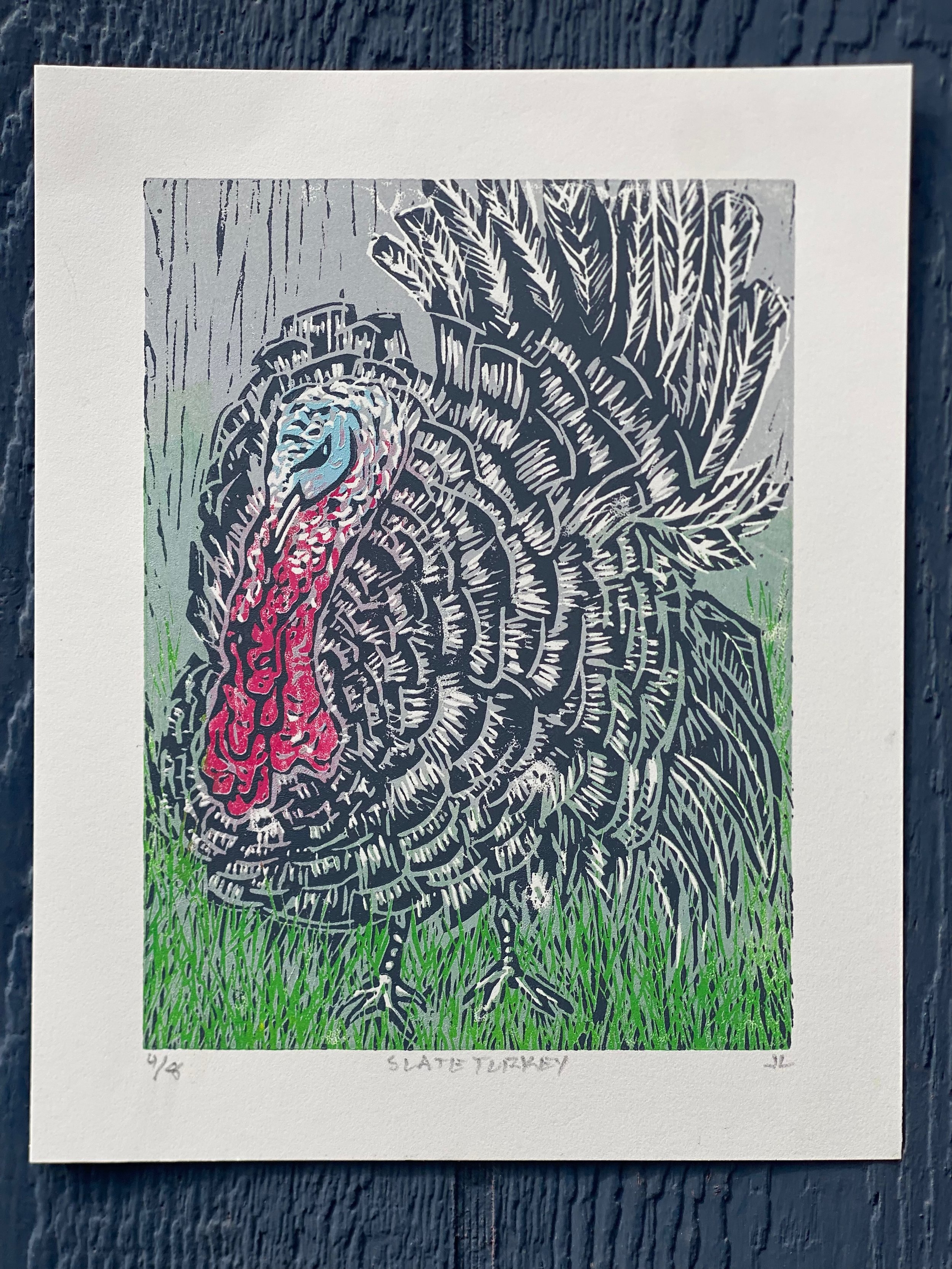 Slate Turkey (Color)