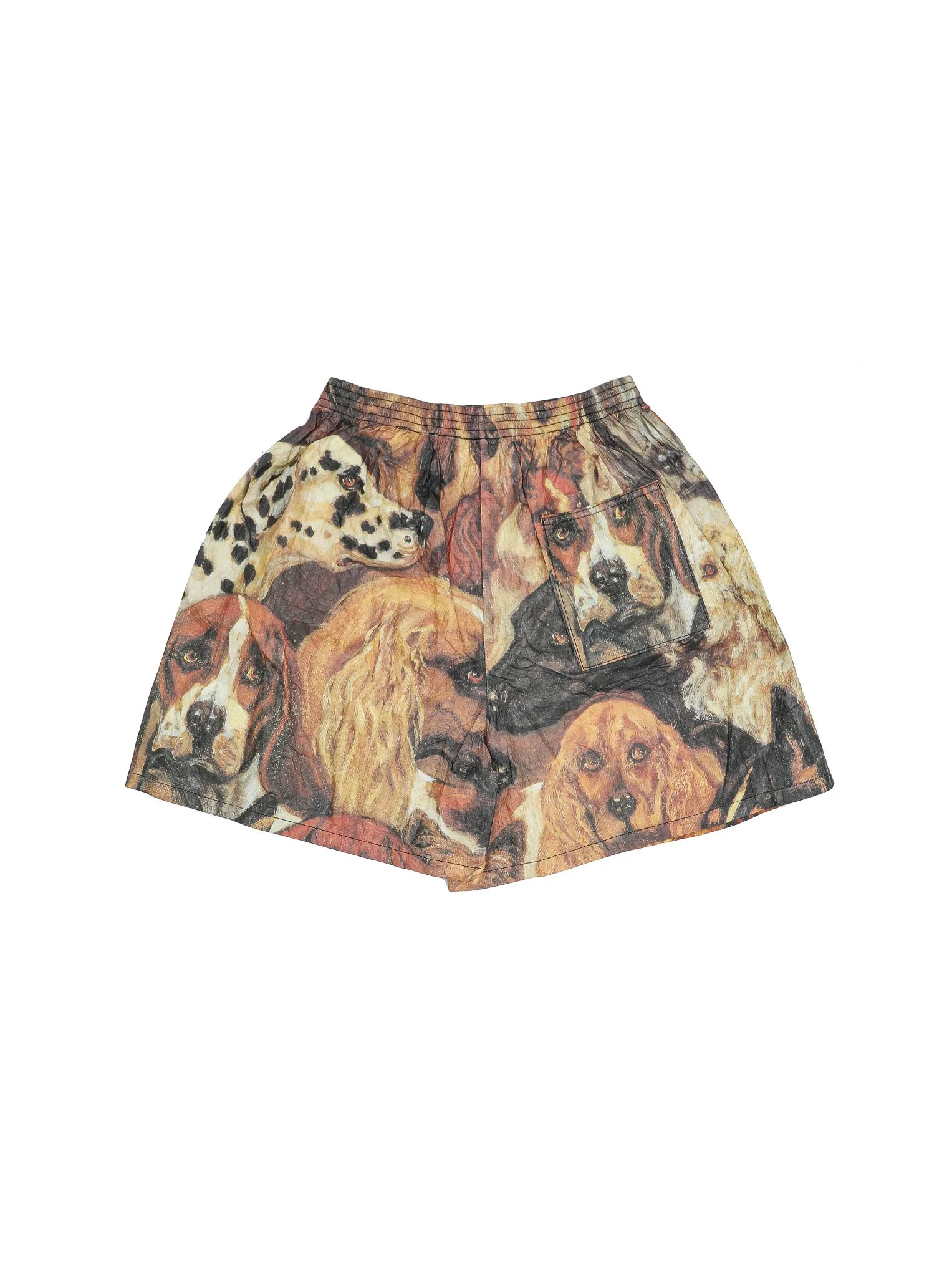 COFV584_DeadStockShowDogShorts-SizeLarge_2.jpg