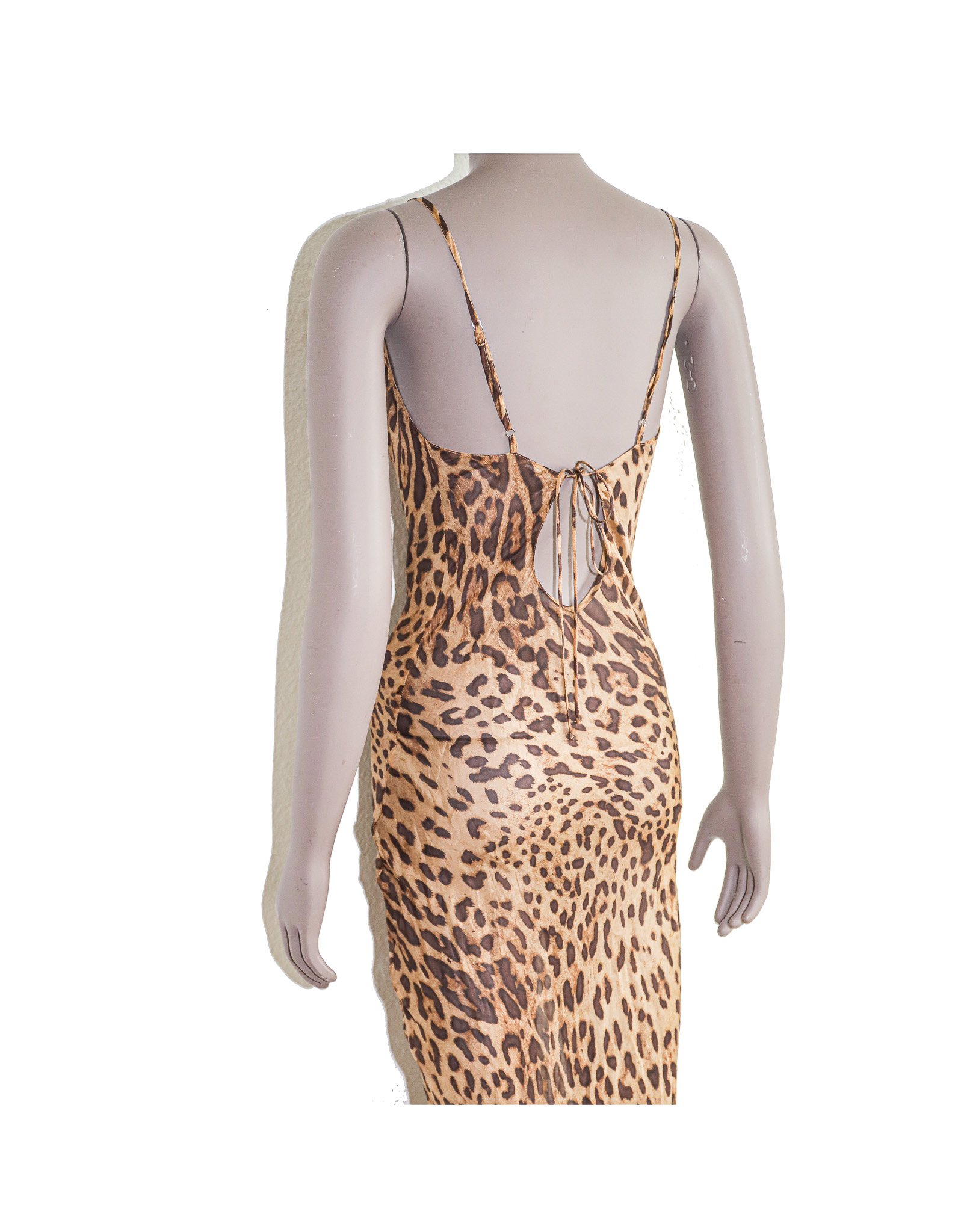 leopard).jpg