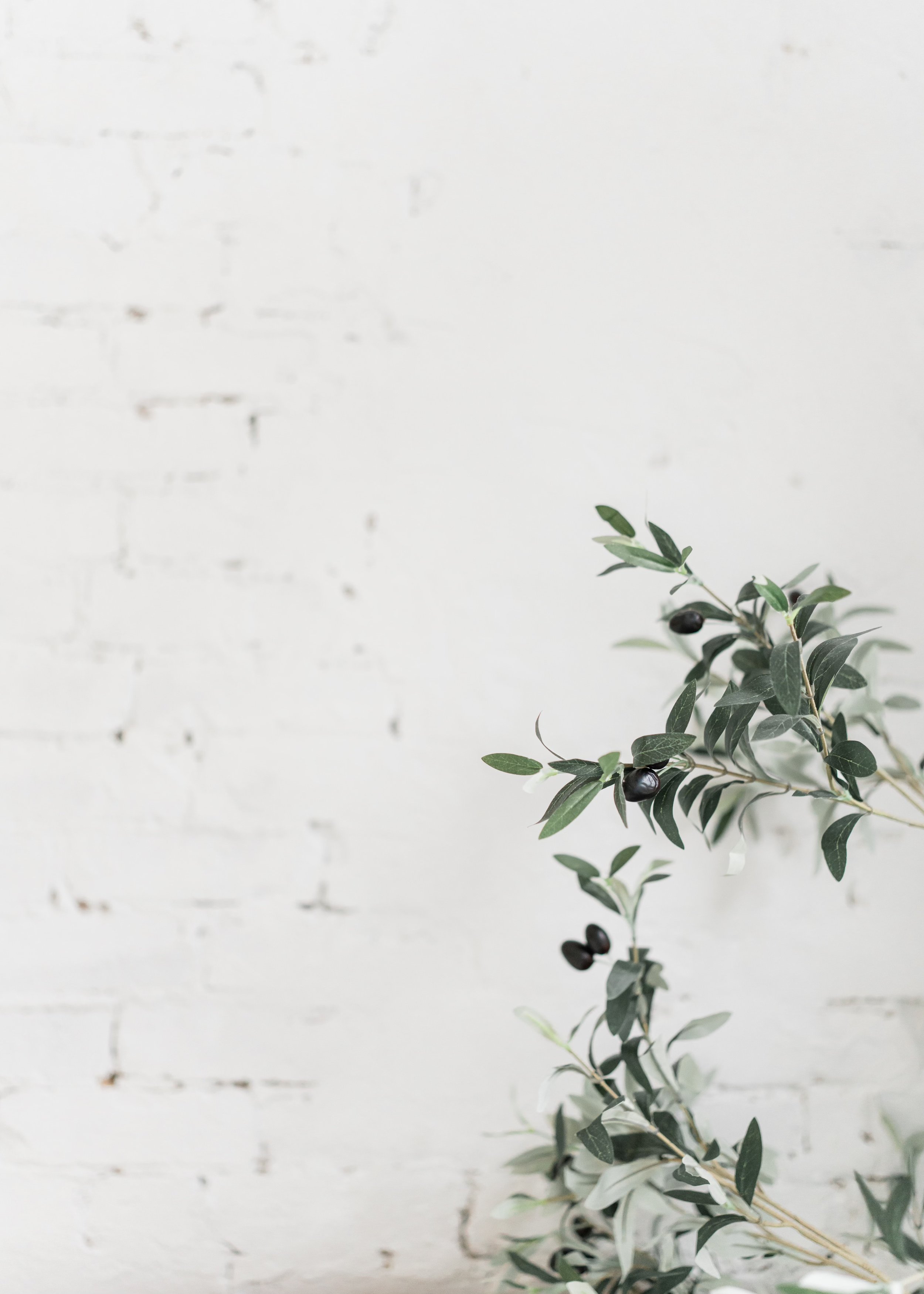 Brick w: greenery.jpeg