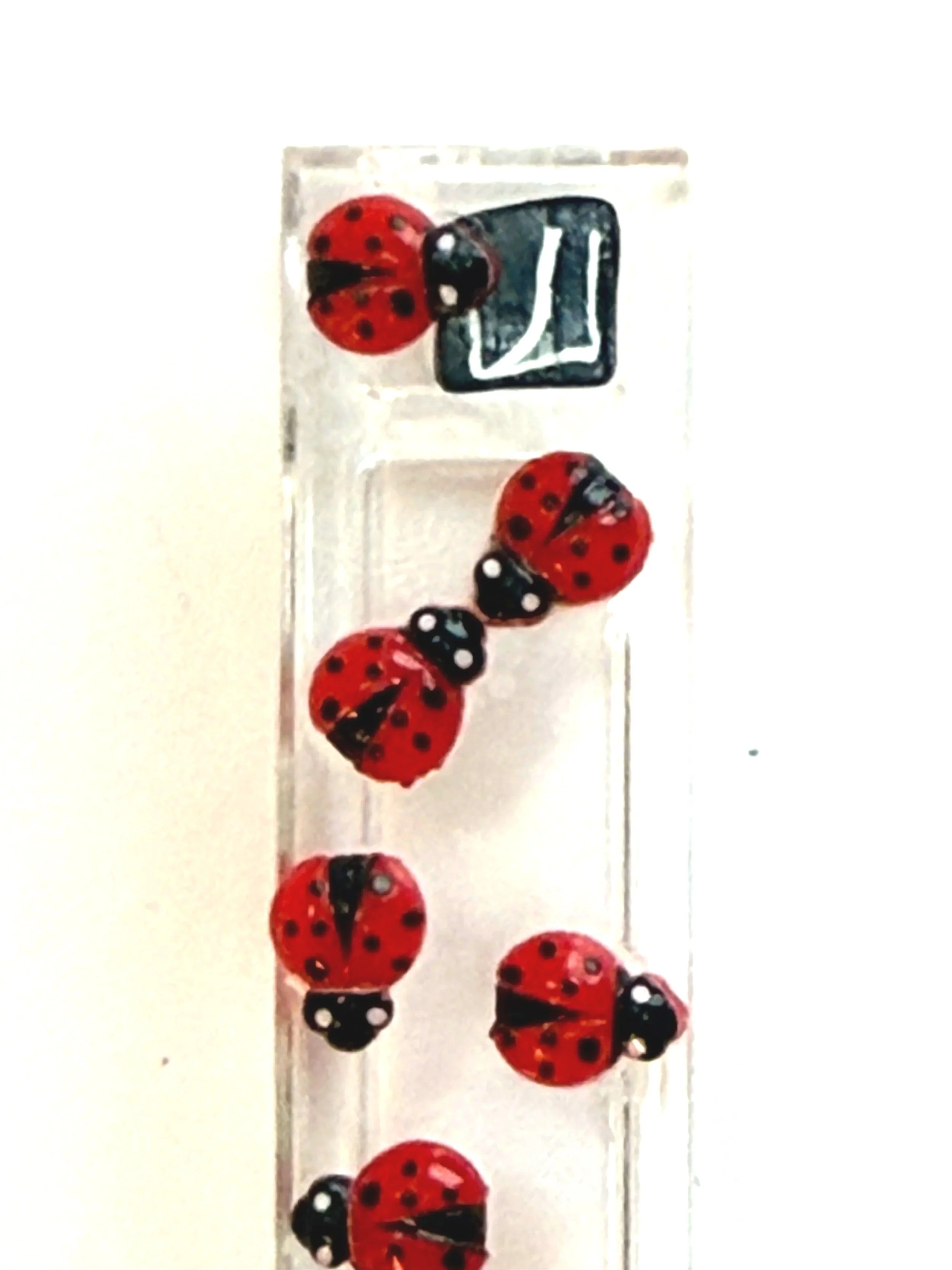 Many Ladybugs Mezuzah