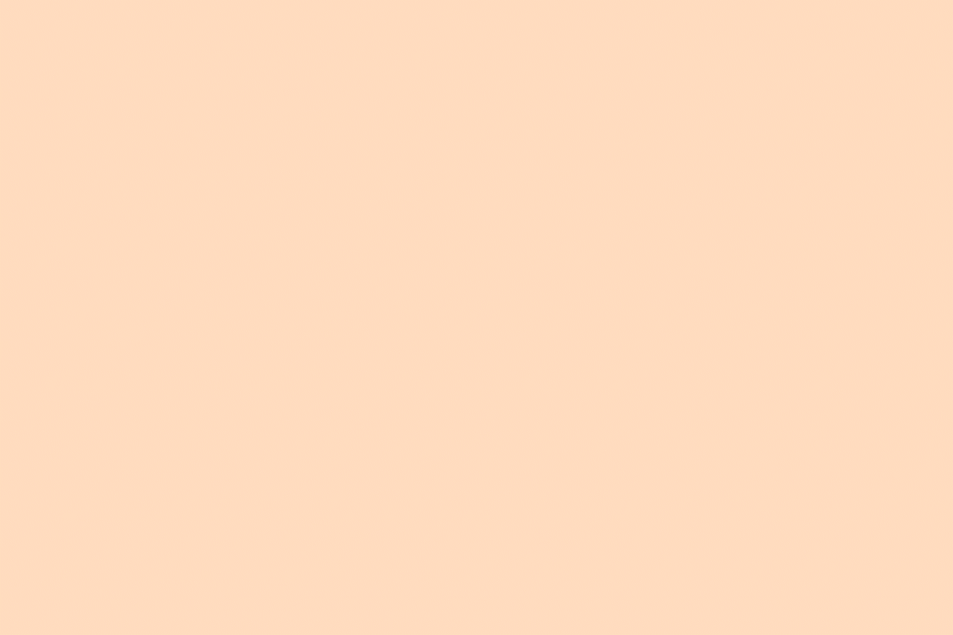SolBowls_Primary_Portfolio.gif