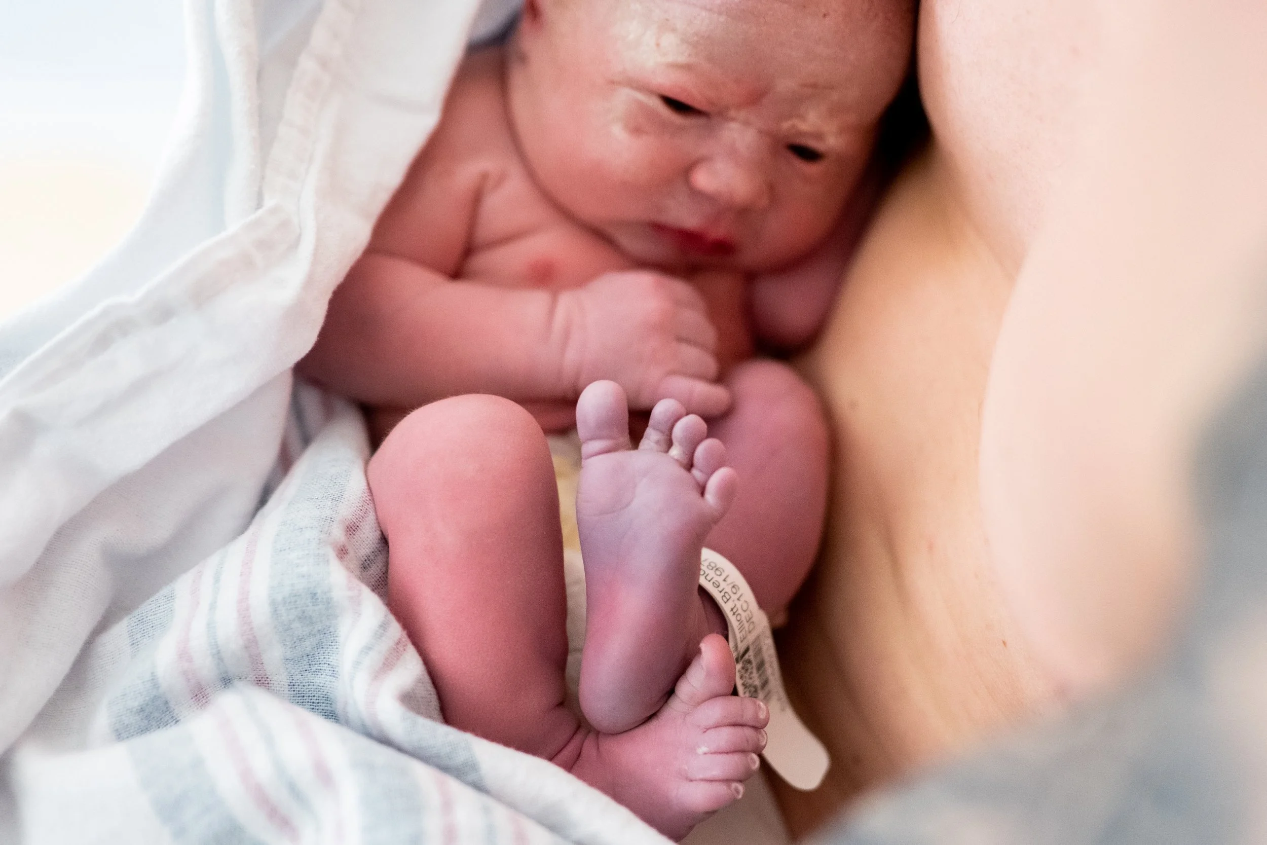 CACHIA_BIRTH__1.jpg
