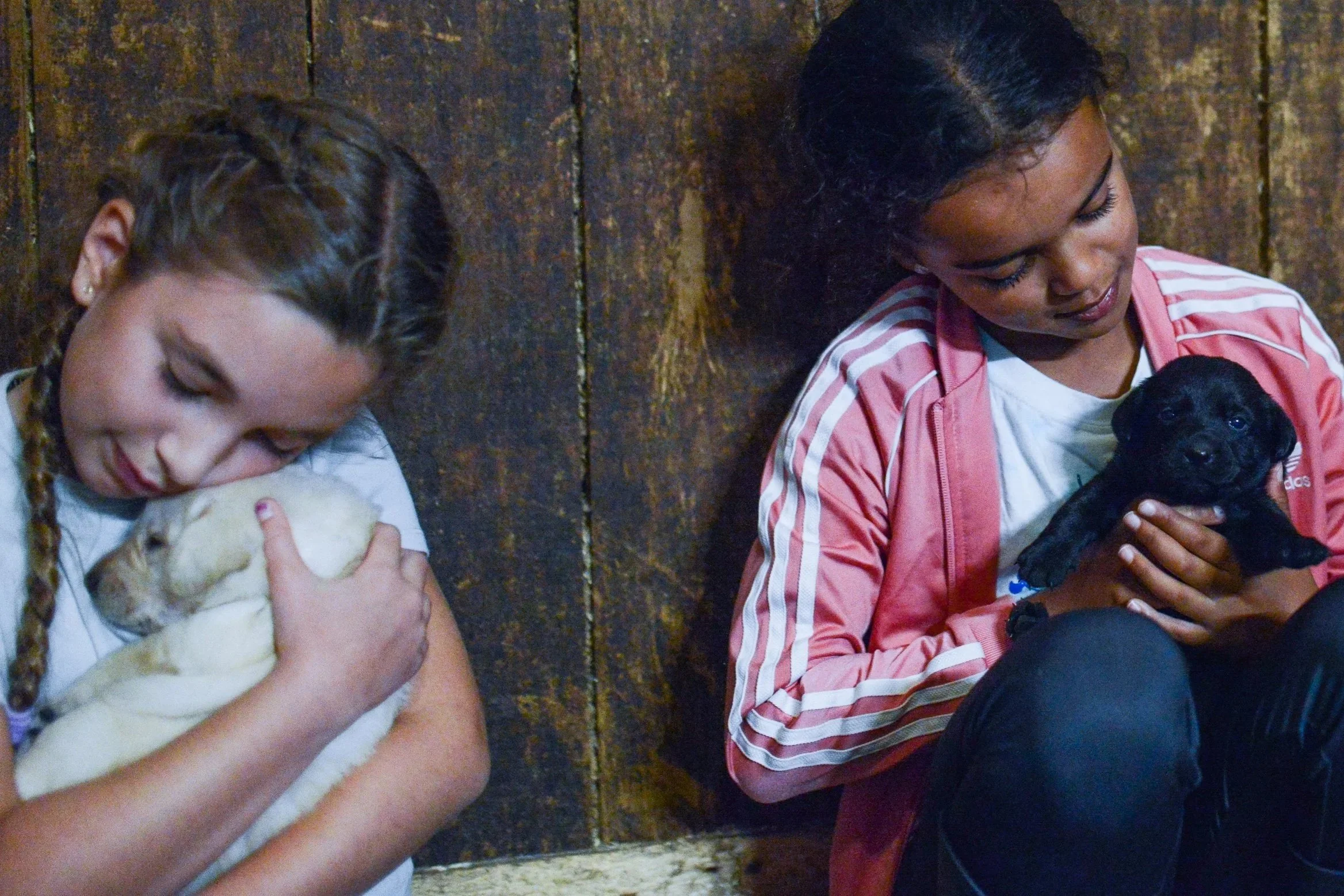 redwood stables_1.jpg