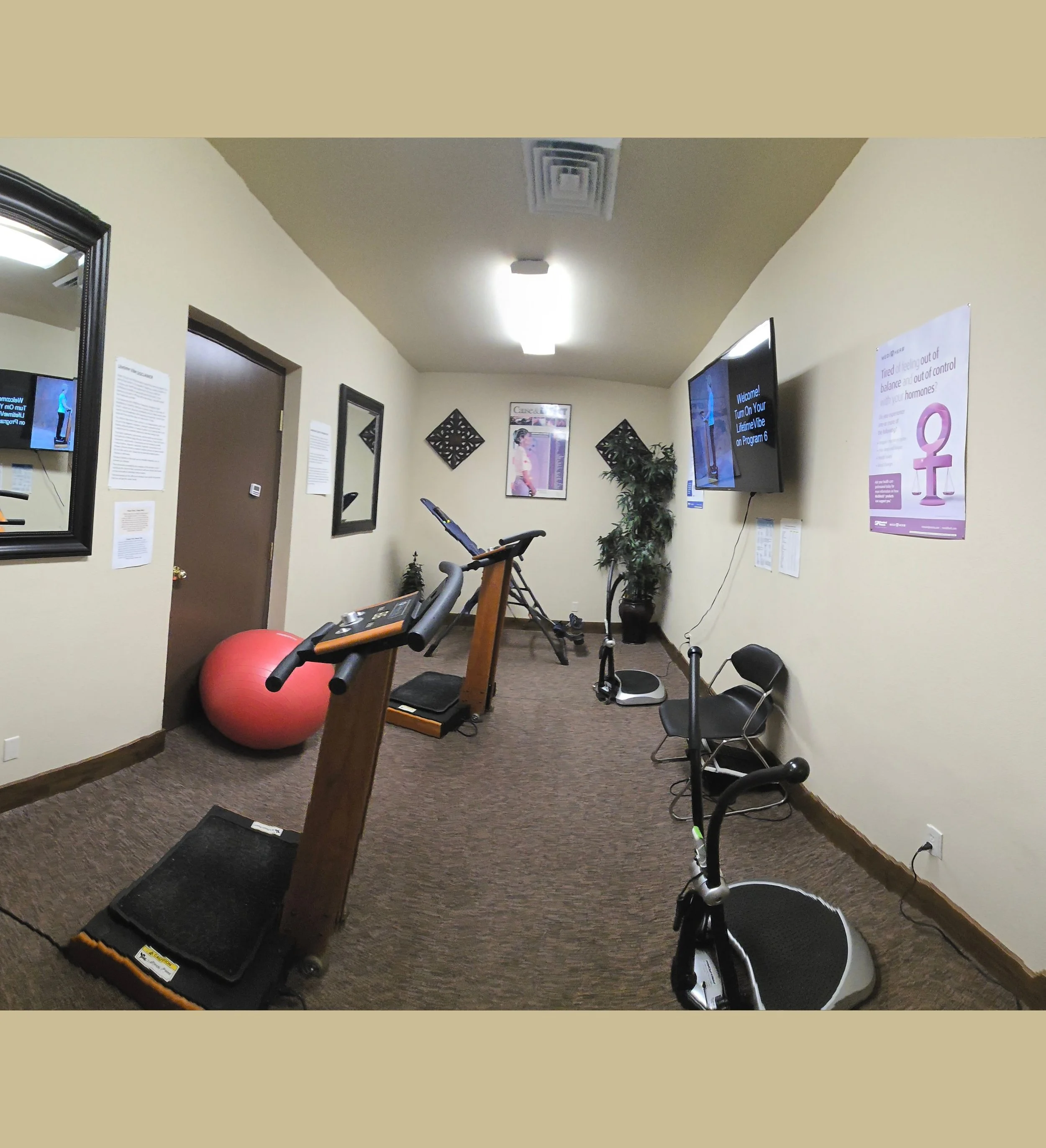 Room with exercise equipment, including a vibration platform, stability balls, and a wall-mounted TV.