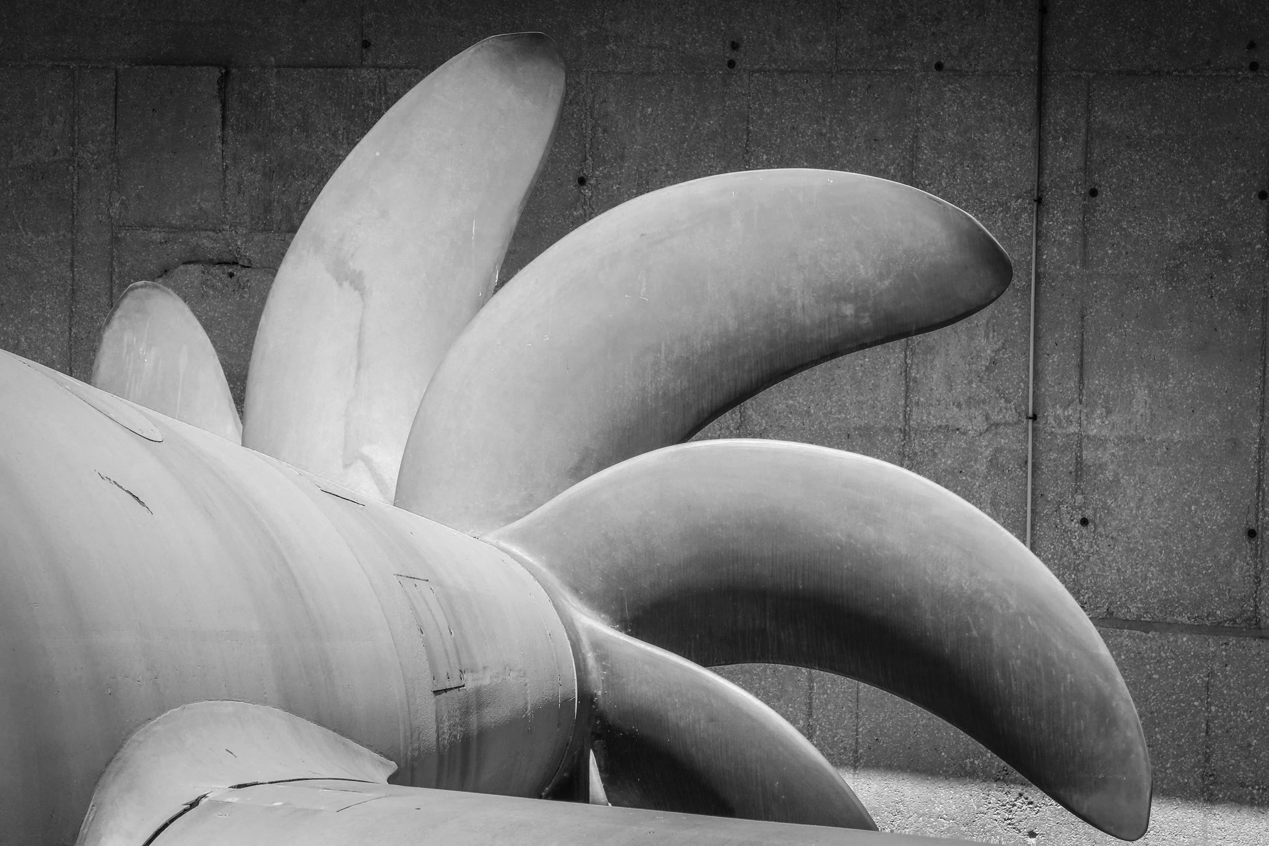The Submarine and the Sea