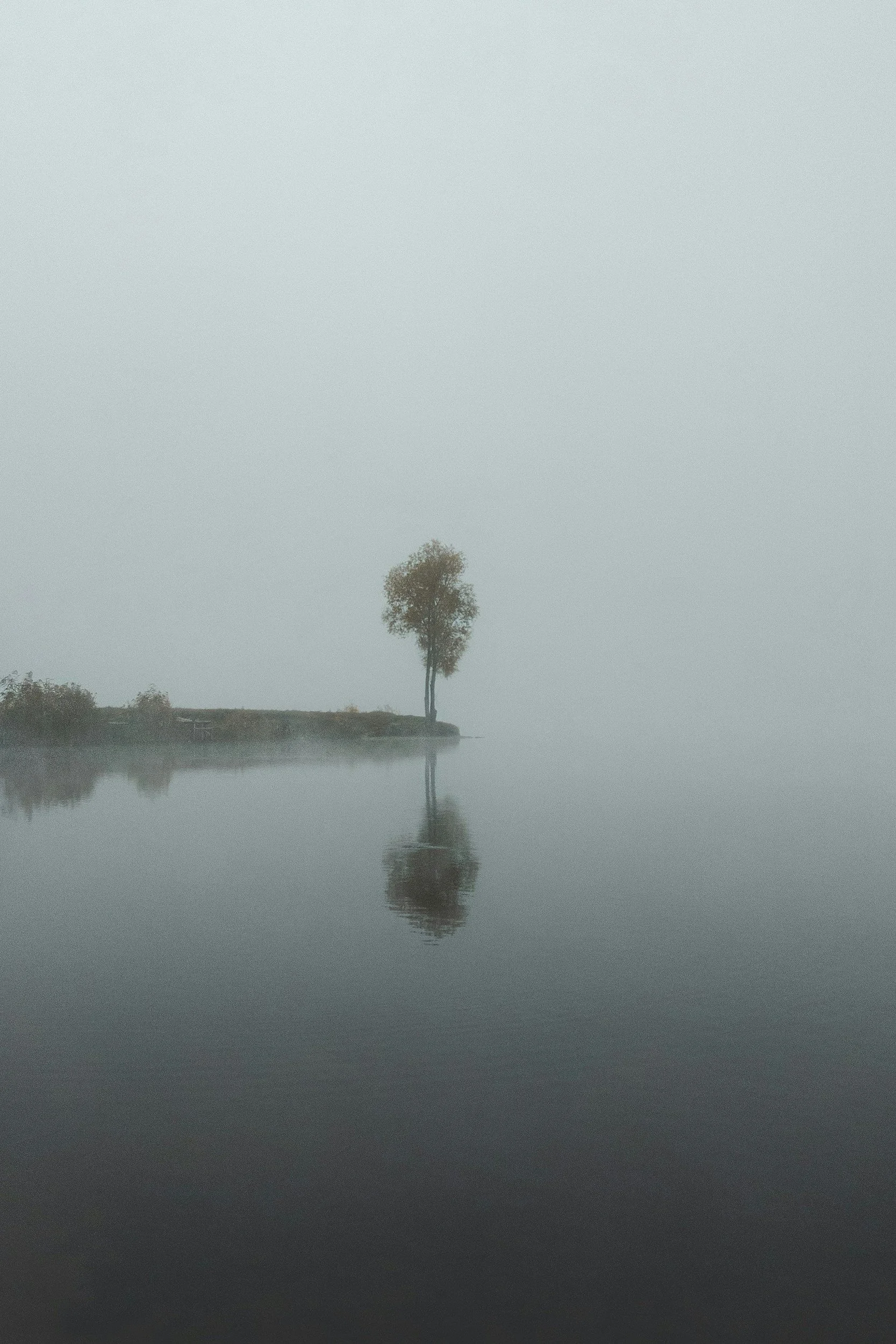 The First Time: A Legacy of Silence