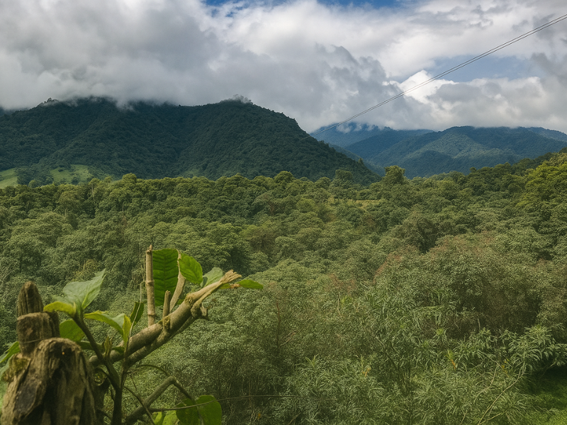 Discover the Magic of Mindo, Ecuador's Cloud Forest