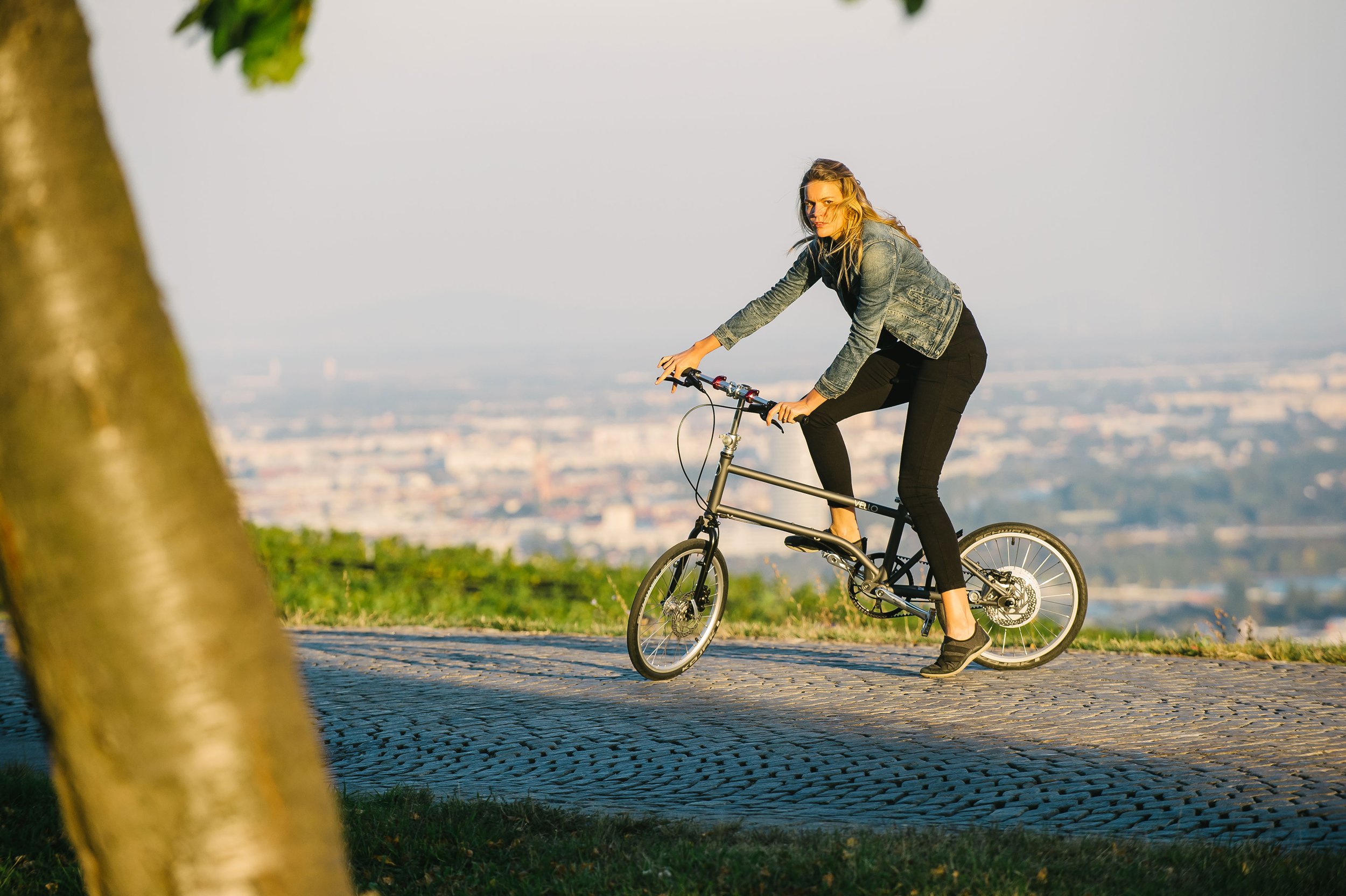 VELLO--Bike+_BELT_DISC-08.jpg