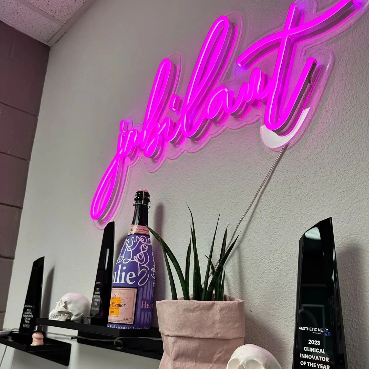 A weekend I'll never forget. One that will continue to shape my career for years to come, filled with learning opportunities that will make me a better and safer injector, and even more connected to my patients. So thankful to @jubilant.julie and @cr