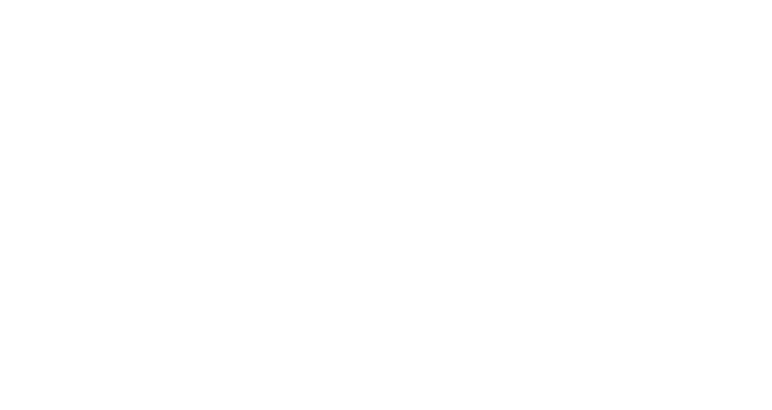 Realise Development Services