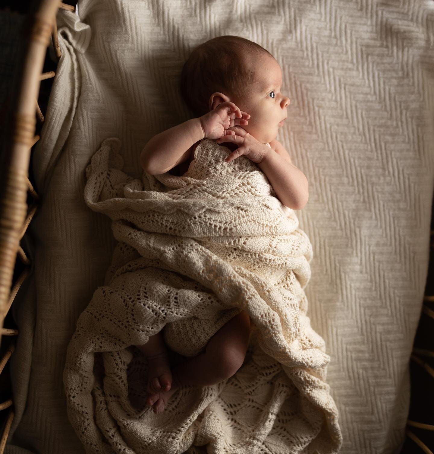 Beautiful baby Banjo 🤎 

Only three weeks old and such a bright eyed little guy ✨

#erinnredfernphotography 
#centralwestnsw 
#centralwestphotographer 
#wellingtonphotographer 
#orangephotographer 
#dubbophotographer 
#mudgeephotographer 
#newbornph