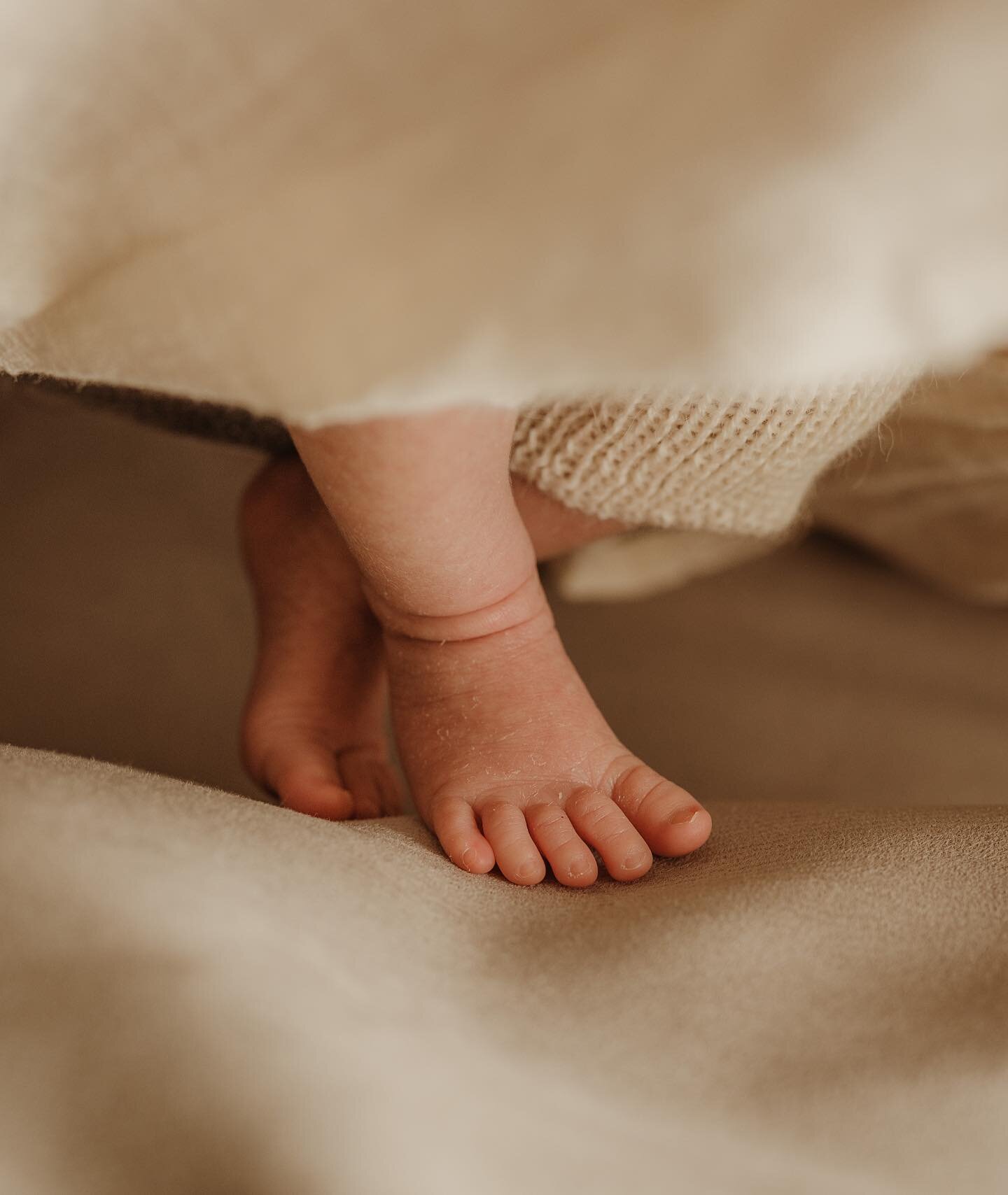 Is there anything sweeter than tiny baby toes?  I think not 🥰🥰

#erinnredfernphotography 
#wellingtonnsw
#dubboregion 
#mudgeeregion 
#orangensw
#centralwestnsw 
#wellingtonphotographer 
#dubbophotographer 
#orangephotographer 
#mudgeephotographer 