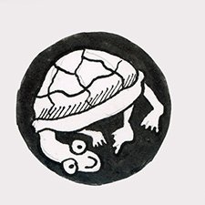 tortoise150.jpg
