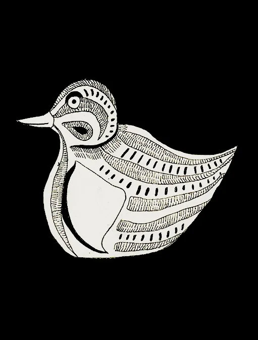 Bird150squarespace copy.jpg