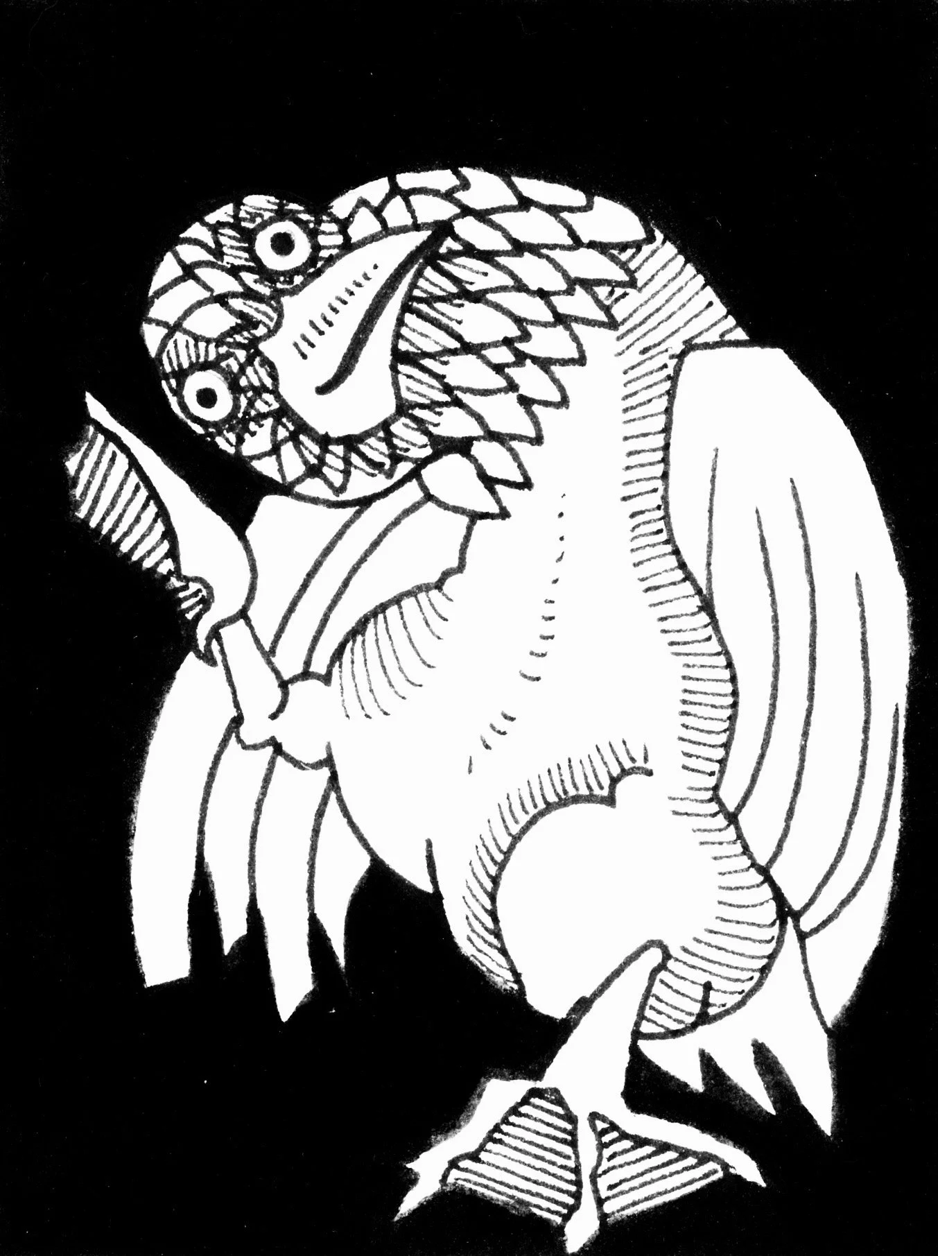 littlebird300adjust copy.jpg