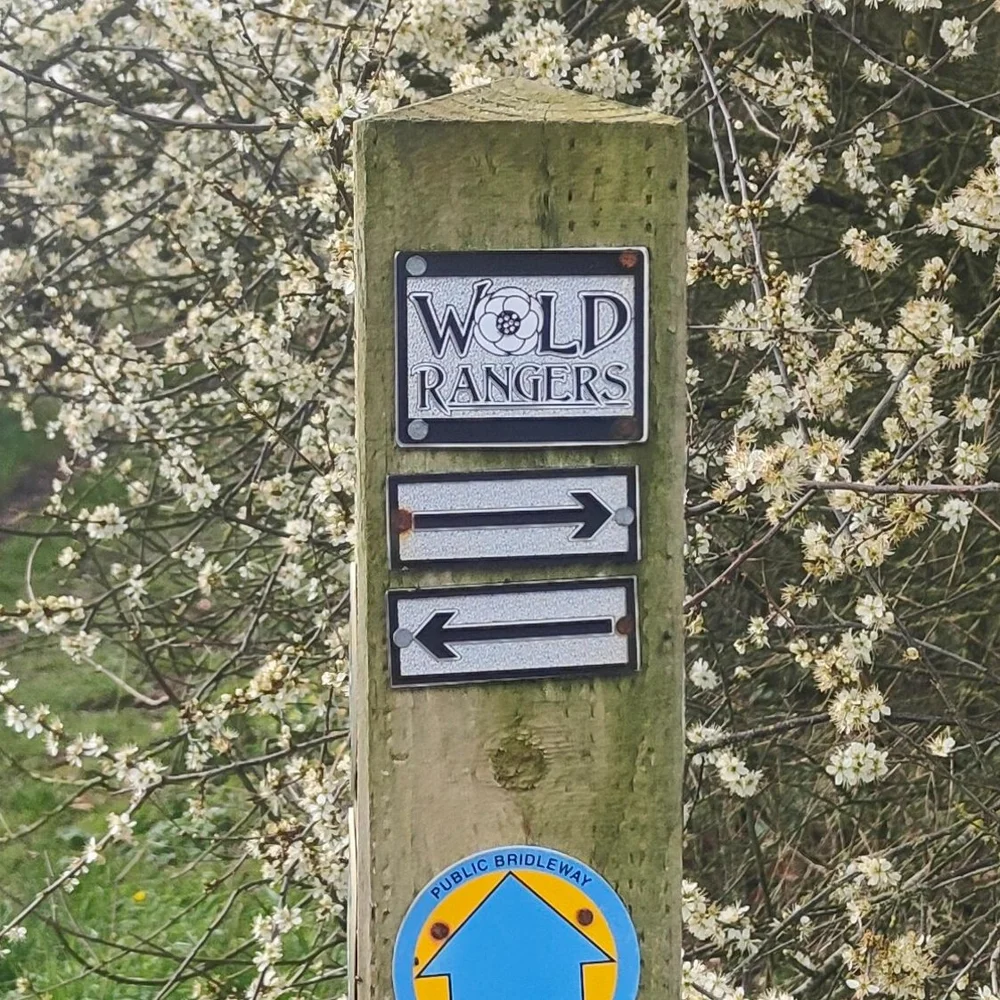 Worle Rangers Wold Rangers Way Ultra Navigation - Ultra Trails