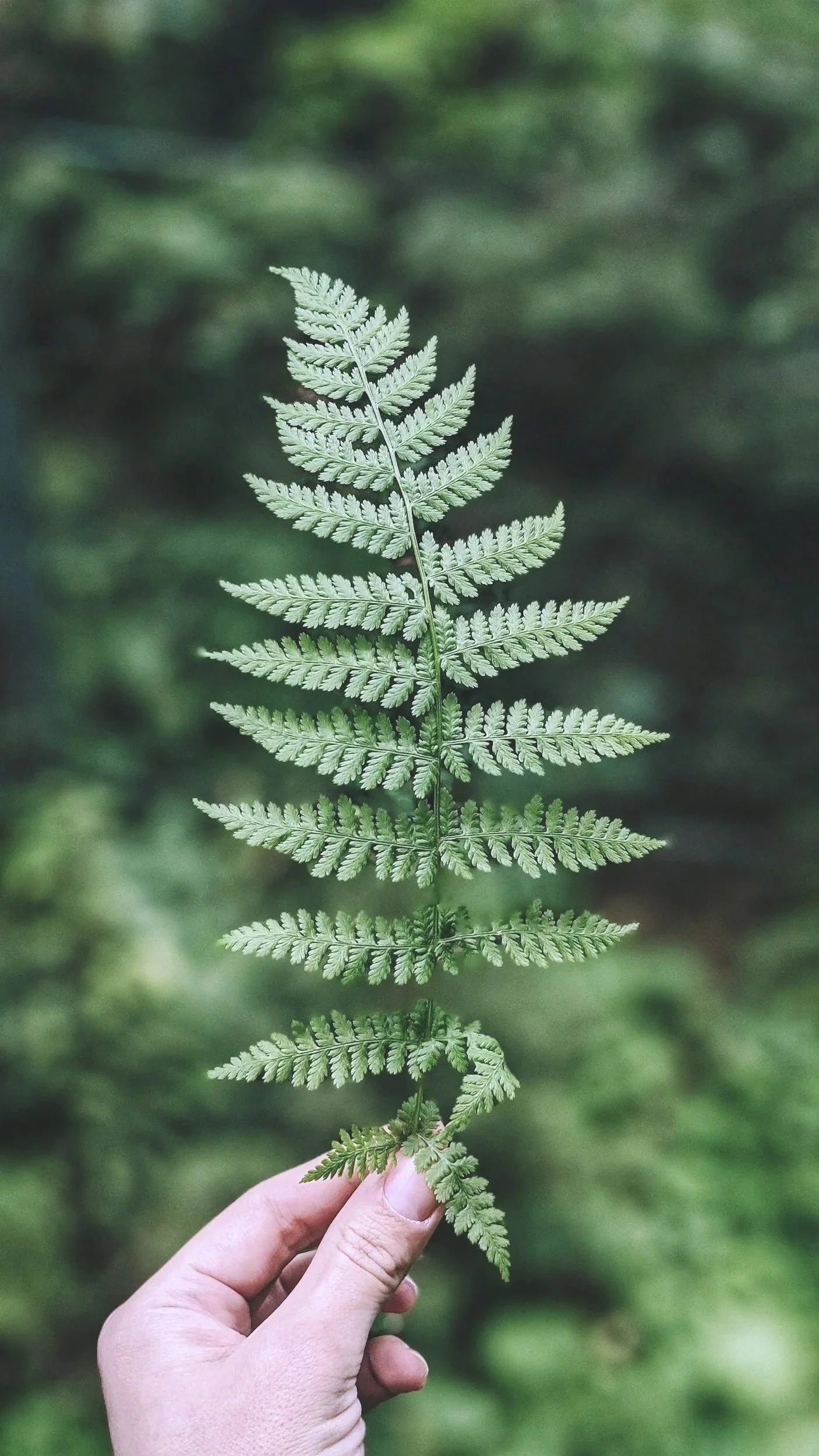 Therapy in Bend, Oregon for adults navigating relationship challenges, life transitions, and feeling stuck. Insightful, supportive therapy to help you move forward.