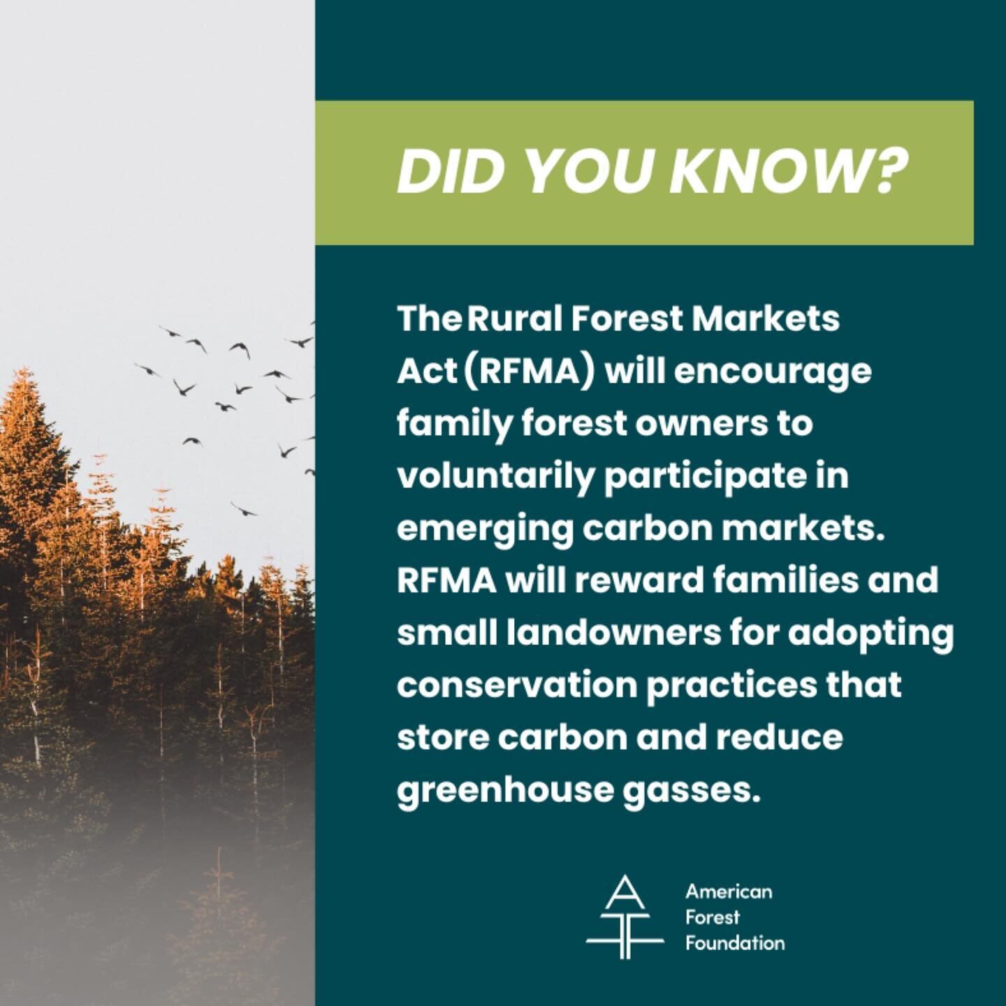 AFFTA applauds Senators Bob Casey (D-PA), Mike Braun (R-IN), and Debbie Stabenow (D-MI) for introducing the bipartisan Rural Forests Markets Act (RFMA). RFMA unlocks new revenue streams for family forest owners, creating generational wealth and expan