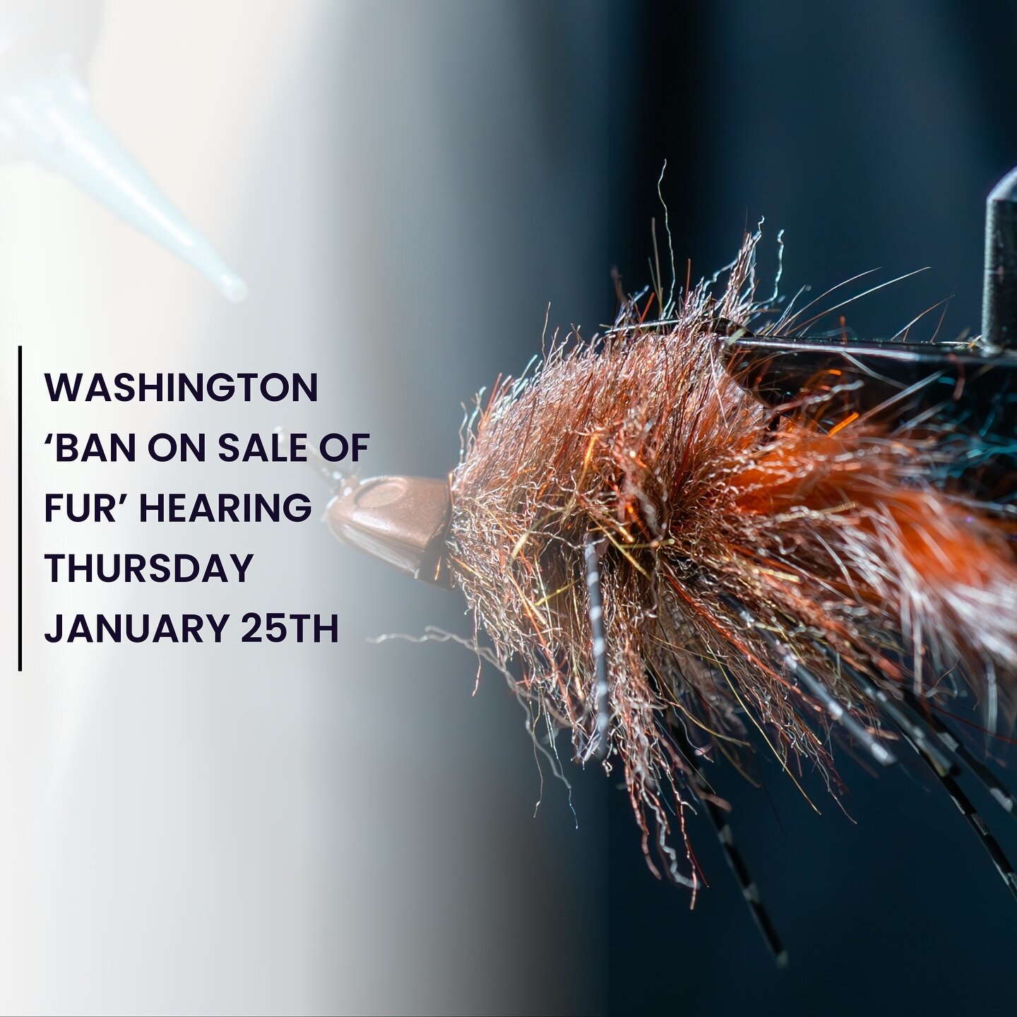 Washington Ban on Sale of Fur hearing is this Thursday the 25th. | Urgent Action Needed! 

Senator Stanford&rsquo;s SB 6294 bans the sale, offer for sale, display for sale, trade, or otherwise distribute for monetary or nonmonetary consideration a fu