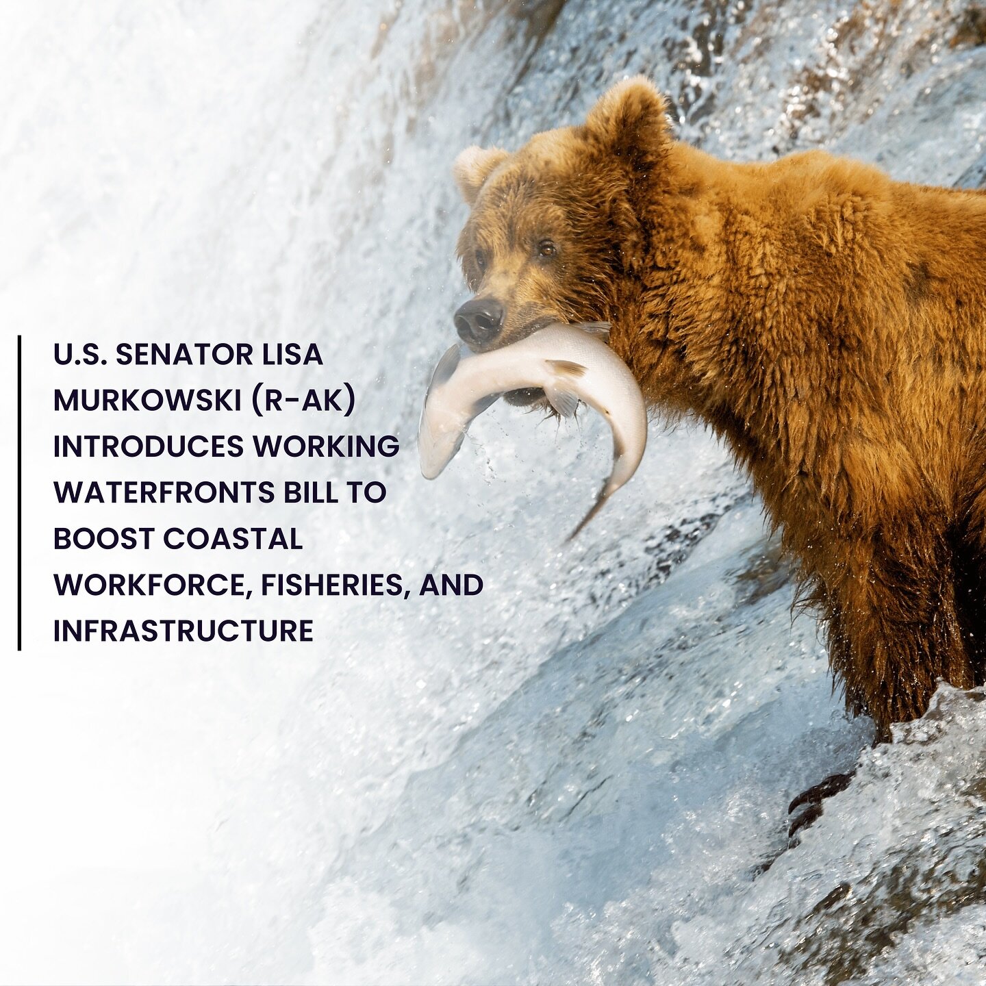 Senator Lisa Murkowski (R-AK) has introduced the Working Waterfronts Act, aimed at bolstering the workforce, energy, infrastructure, and economies of coastal communities across the nation, including Alaska. The bill encompasses over a dozen provision