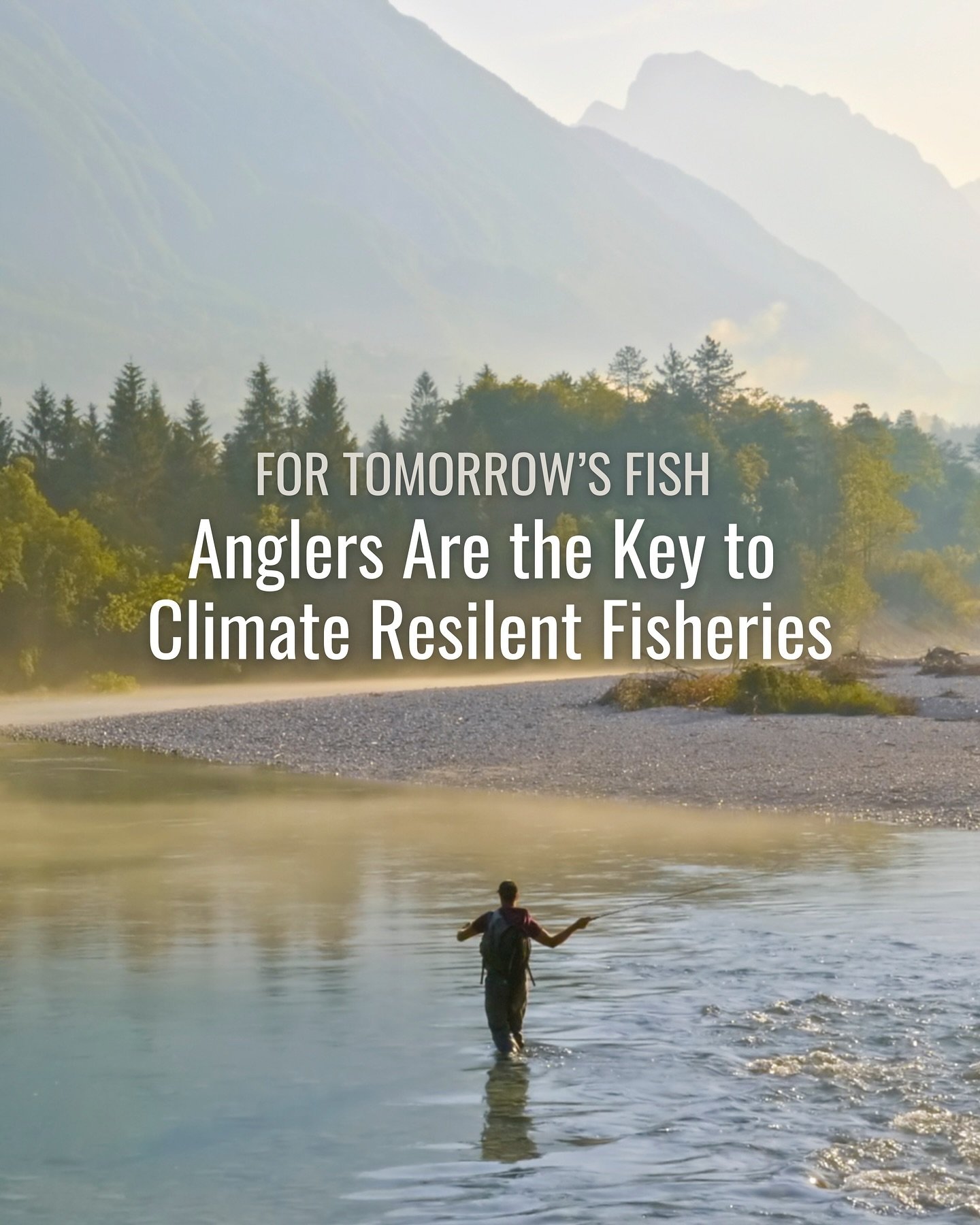 Climate change is affecting the places where anglers love to fish.

&ldquo;For Tomorrow&rsquo;s Fish&rdquo; is a call for a united front of anglers, industry, and other advocates to act now against the unparalleled threats of warming waters, deoxygen