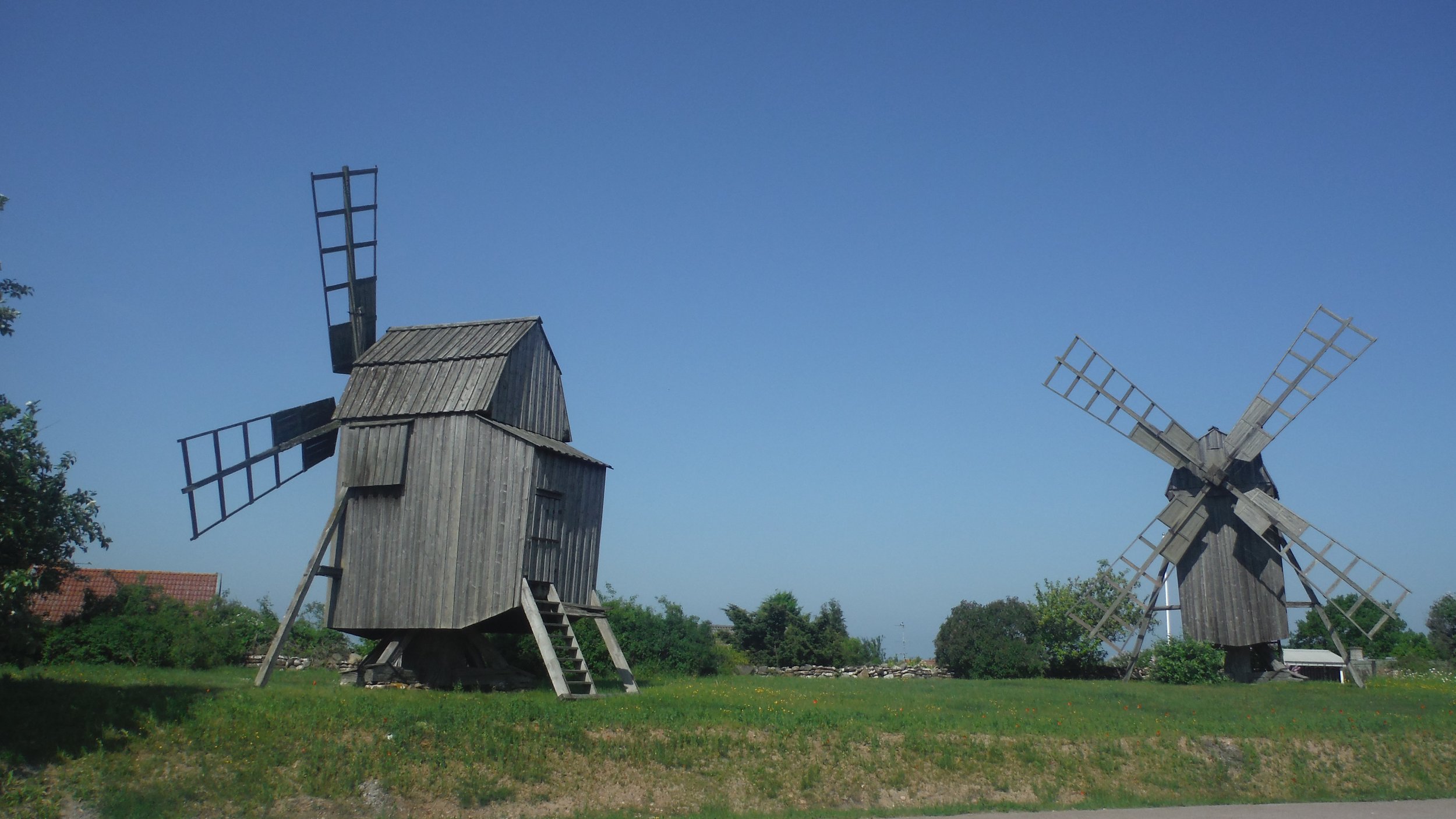 2016-05-30 Stubmoeller på oeland .JPG