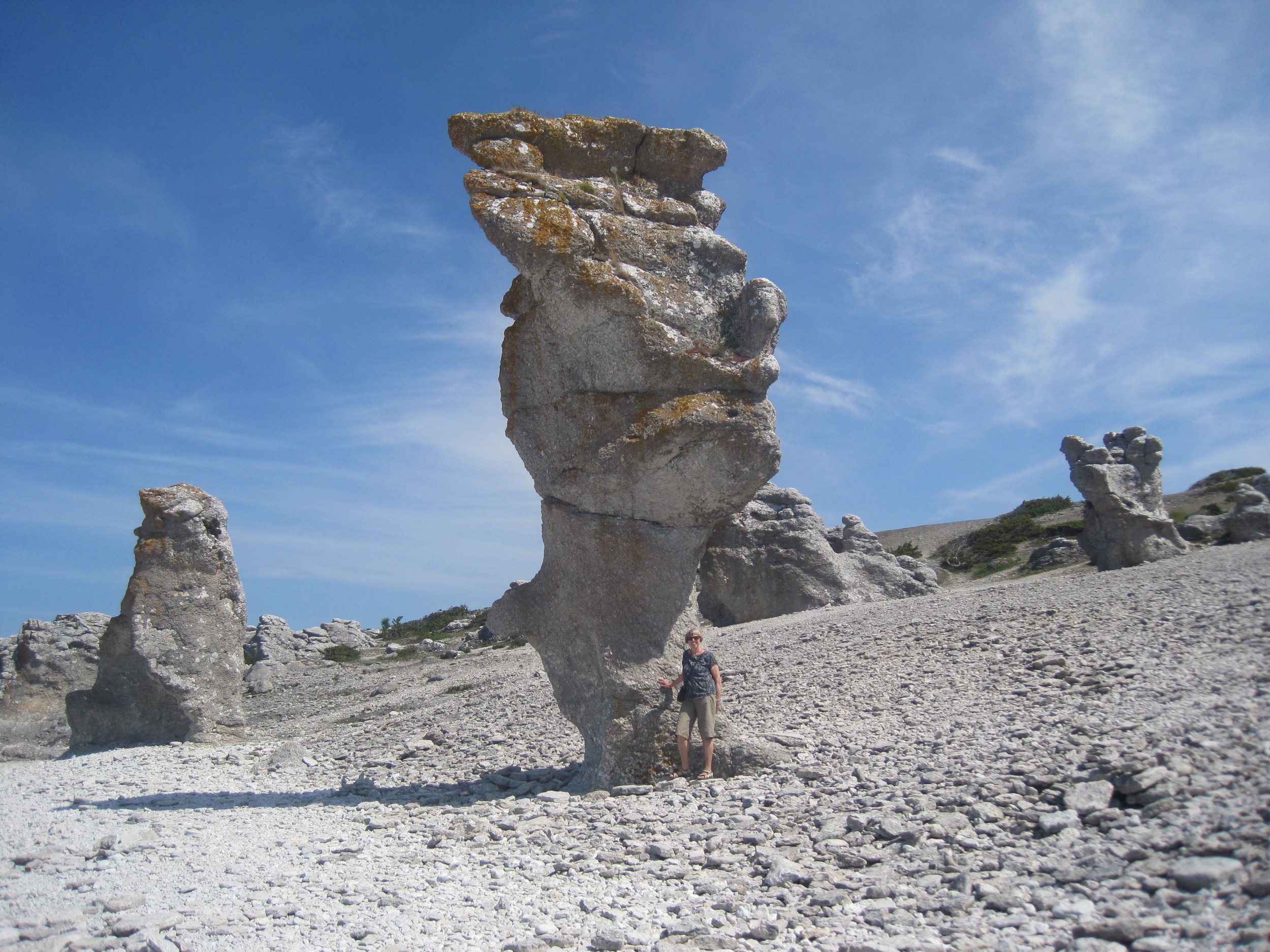 2016-06-02 Rauge på Fårö .jpeg