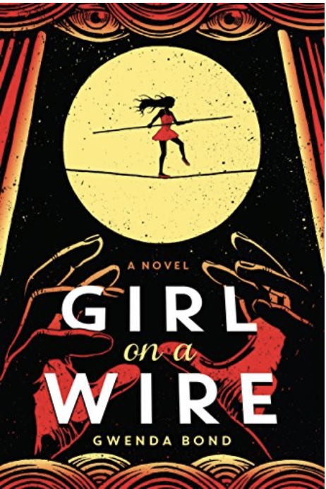 Girl on a Wire book cover